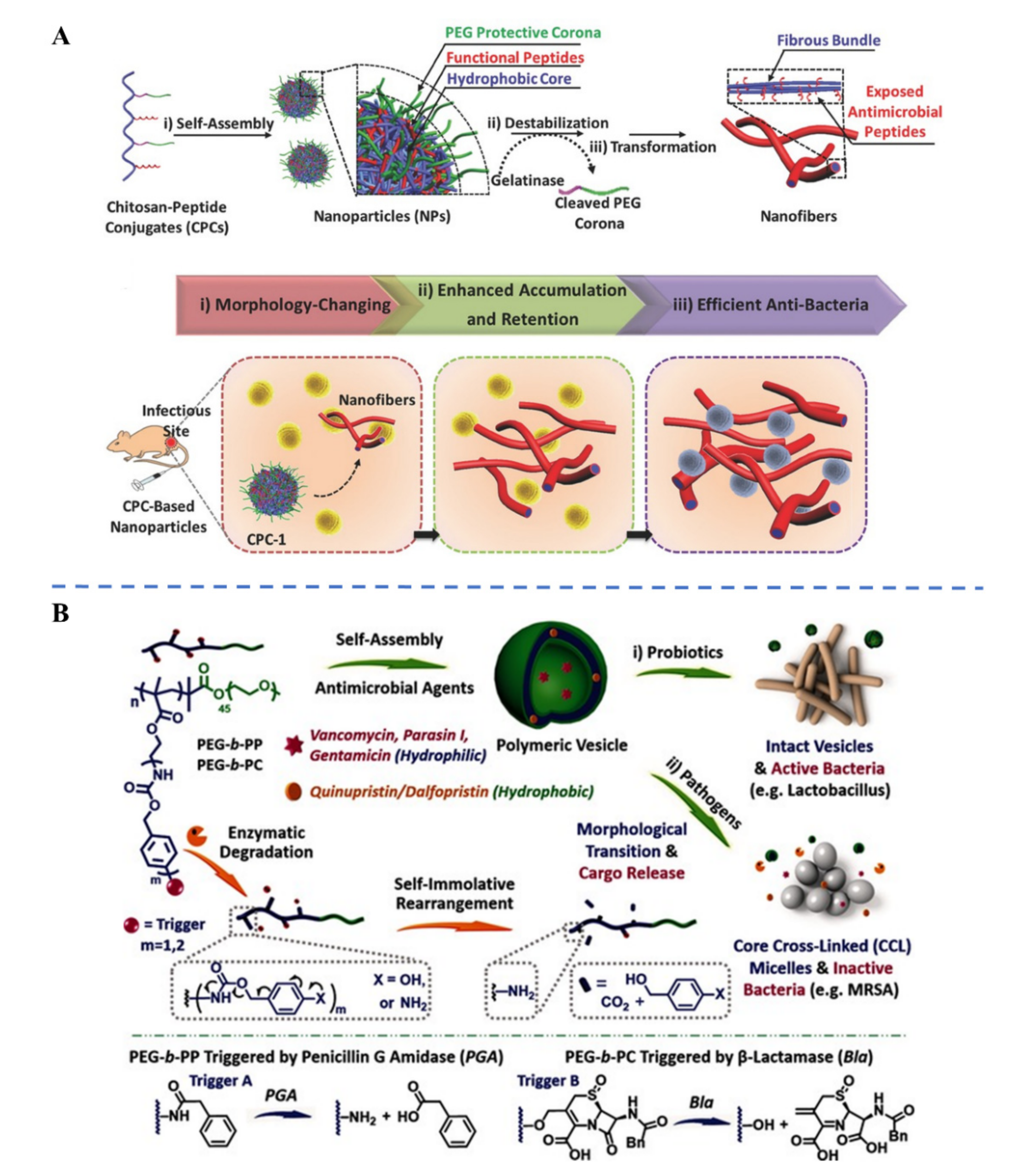 Applsci 11 10695 g005