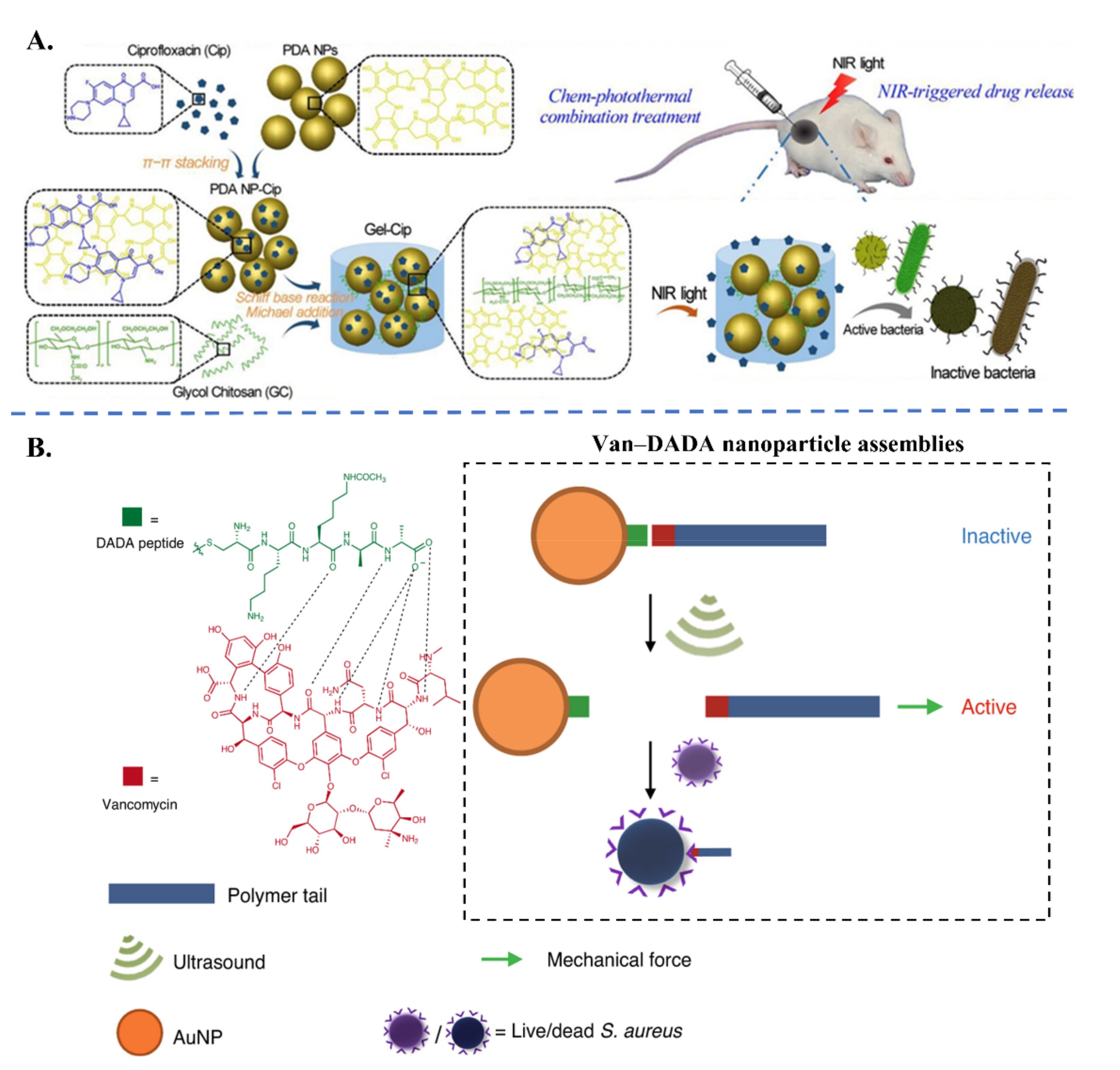 Applsci 11 10695 g006