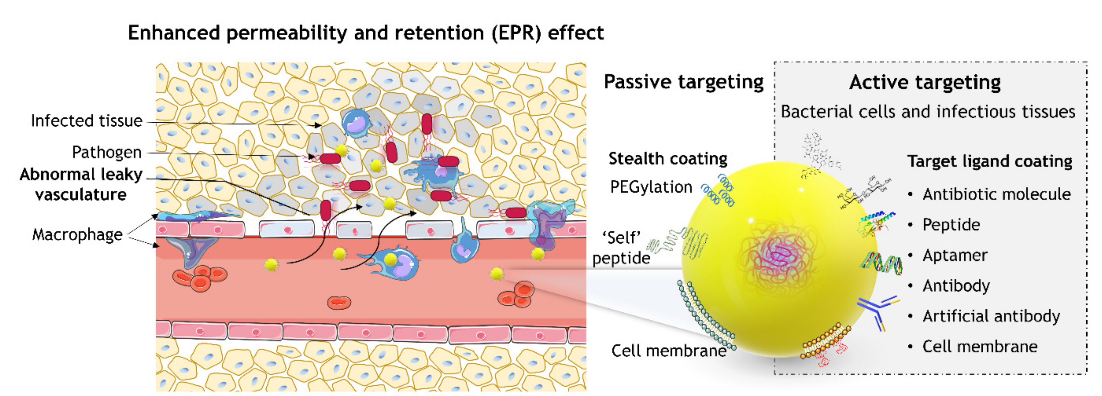 Applsci 11 10695 g007