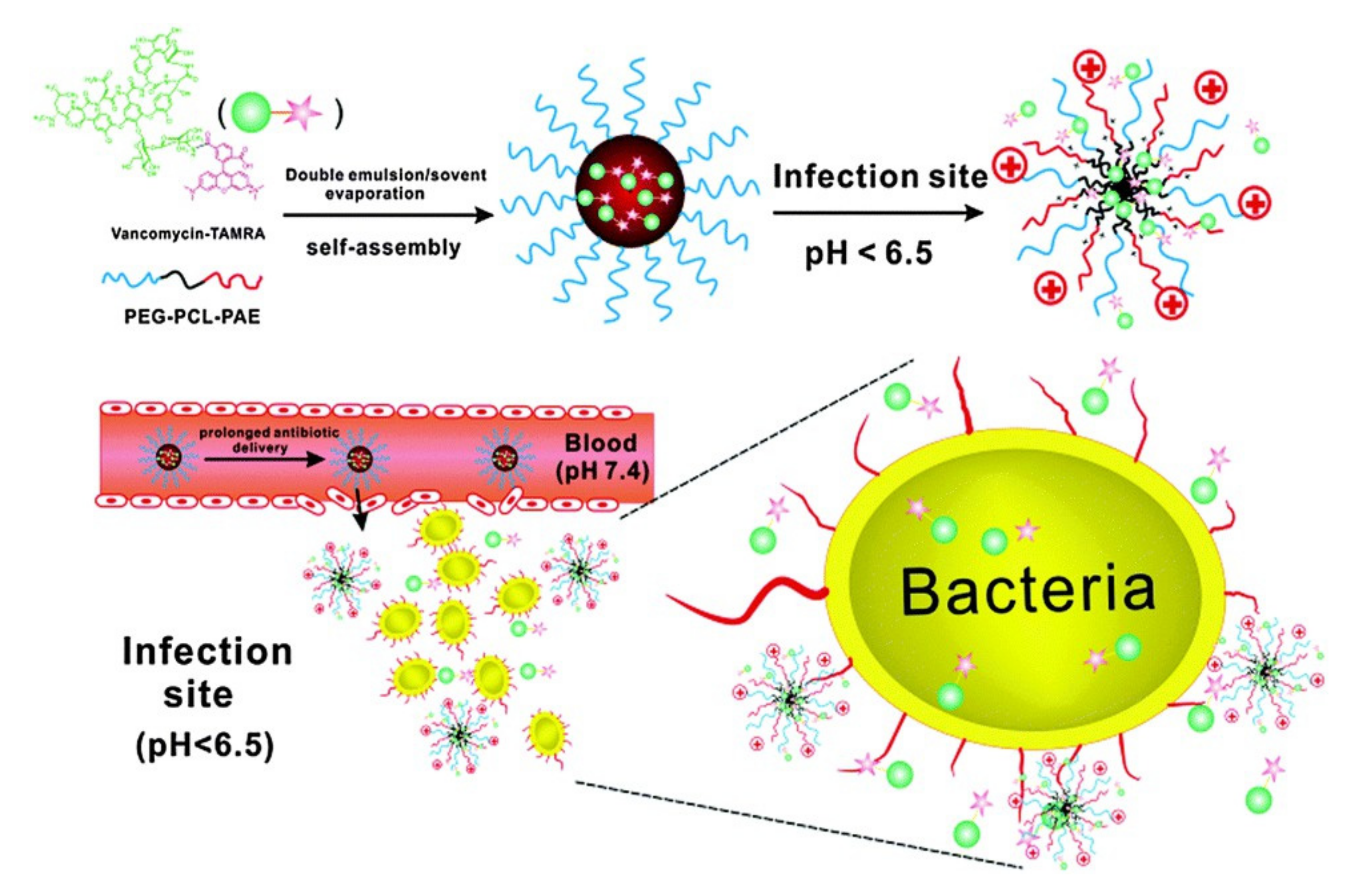 Applsci 11 10695 g008
