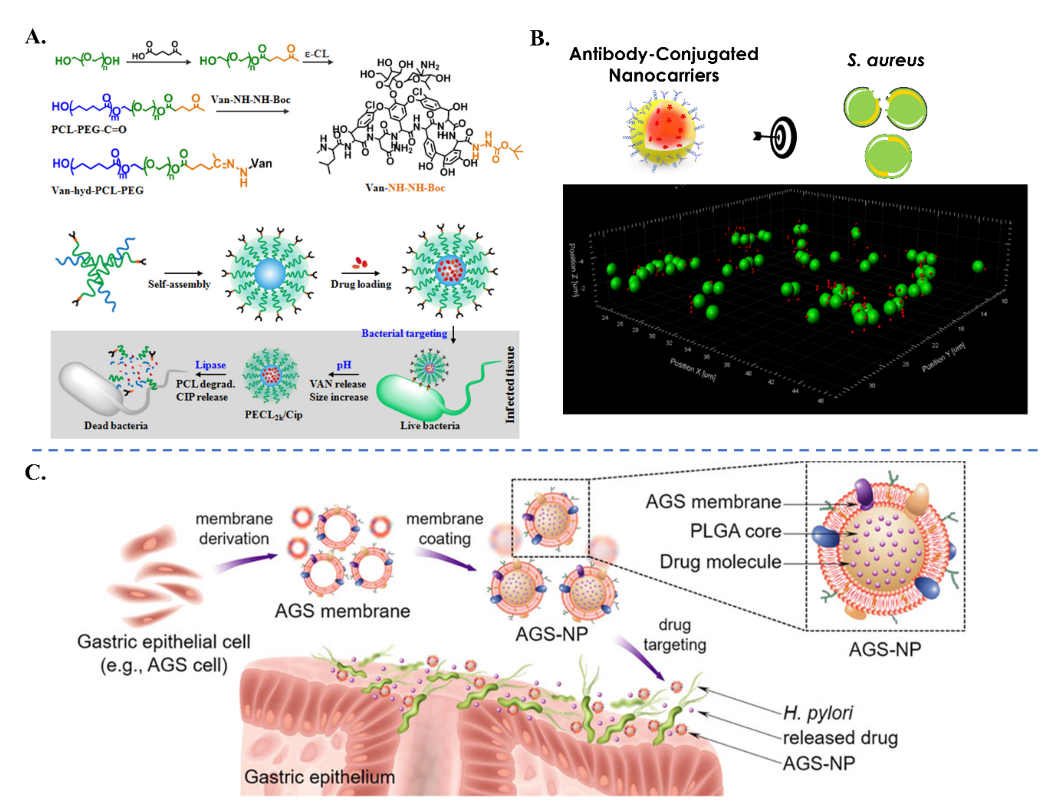 Applsci 11 10695 g009