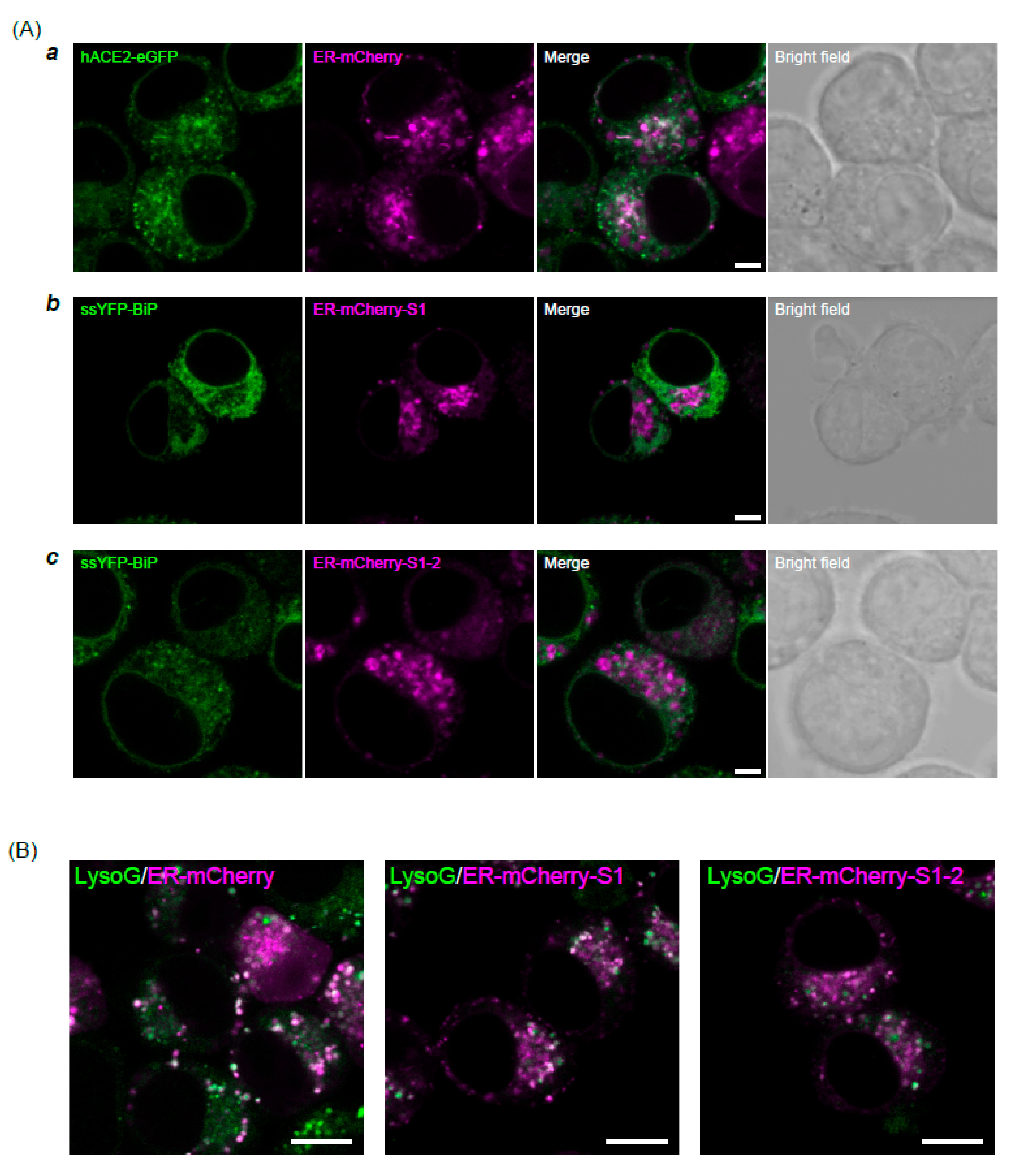 Applsci 11 10697 g001