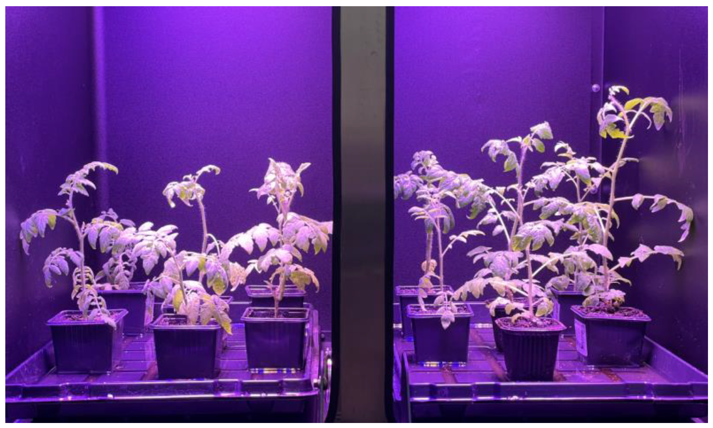 Applsci 11 10726 g003