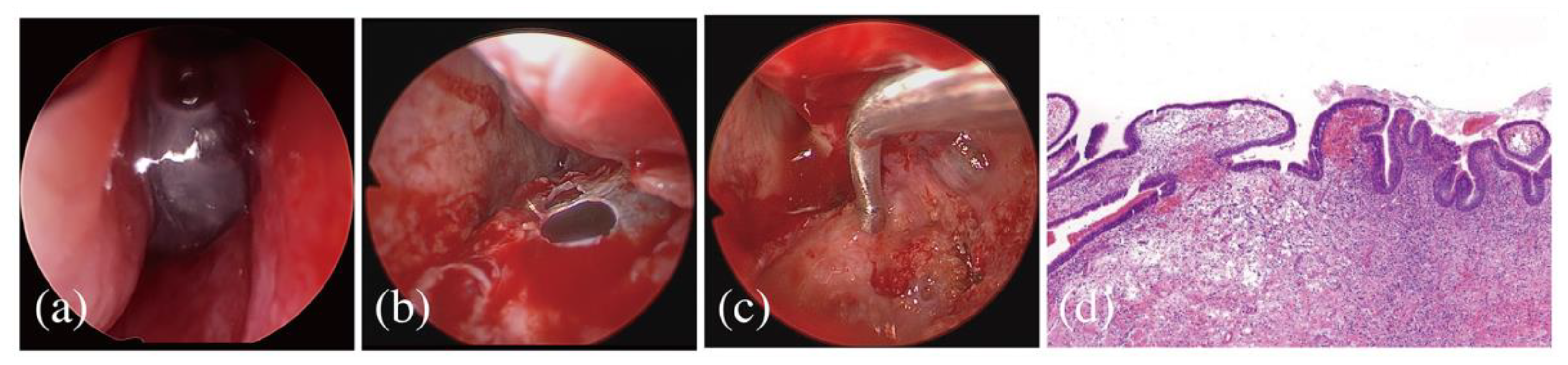 Applsci 11 10730 g004