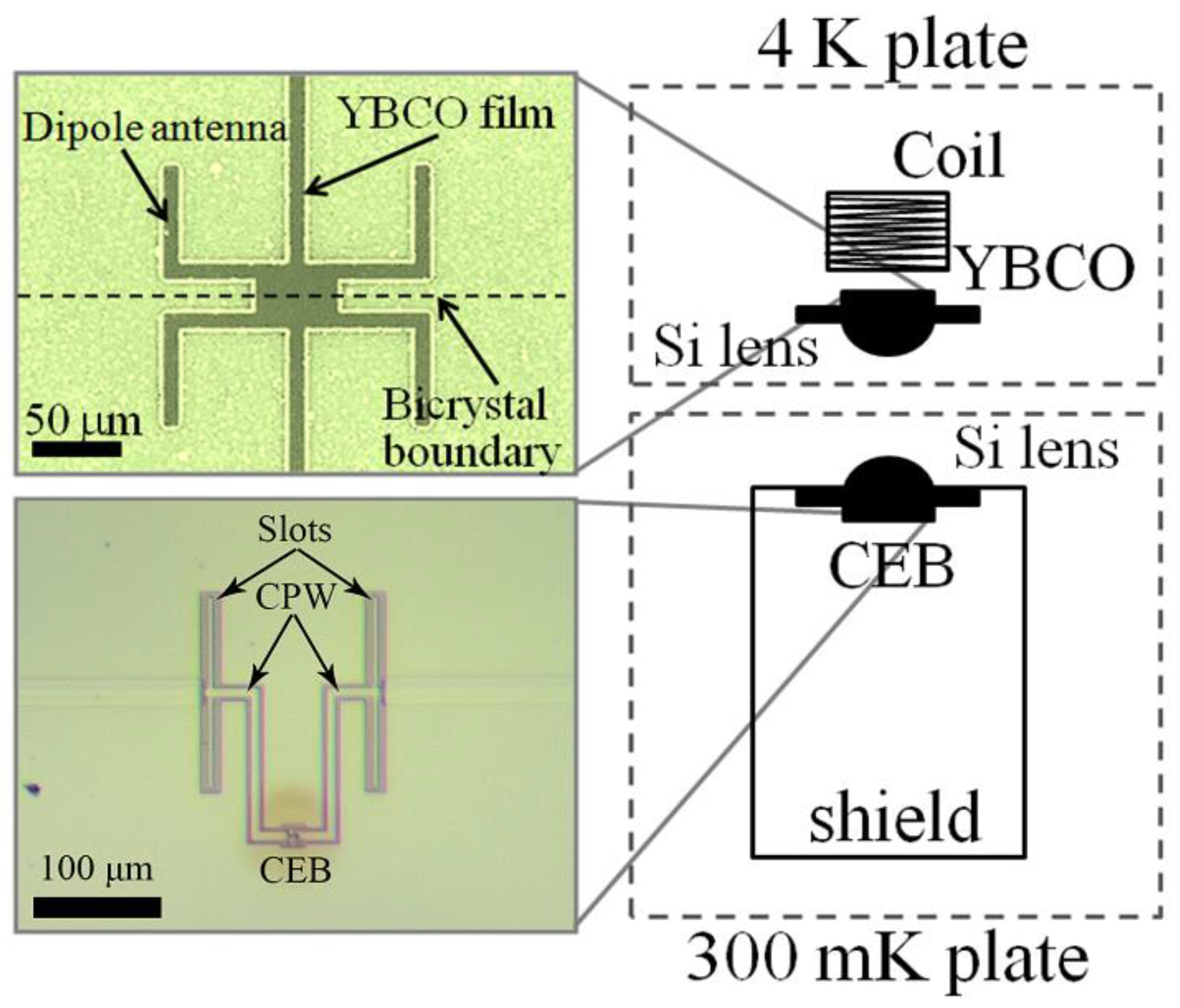 Applsci 11 10746 g003