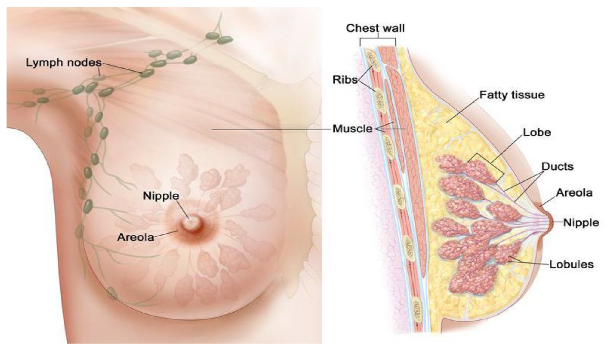 Applsci 11 10753 g002 Applsci 11 10753 g002