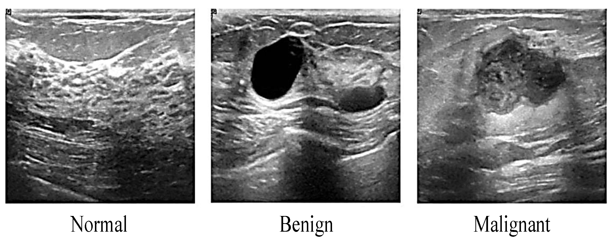 Applsci 11 10753 g004 Applsci 11 10753 g004