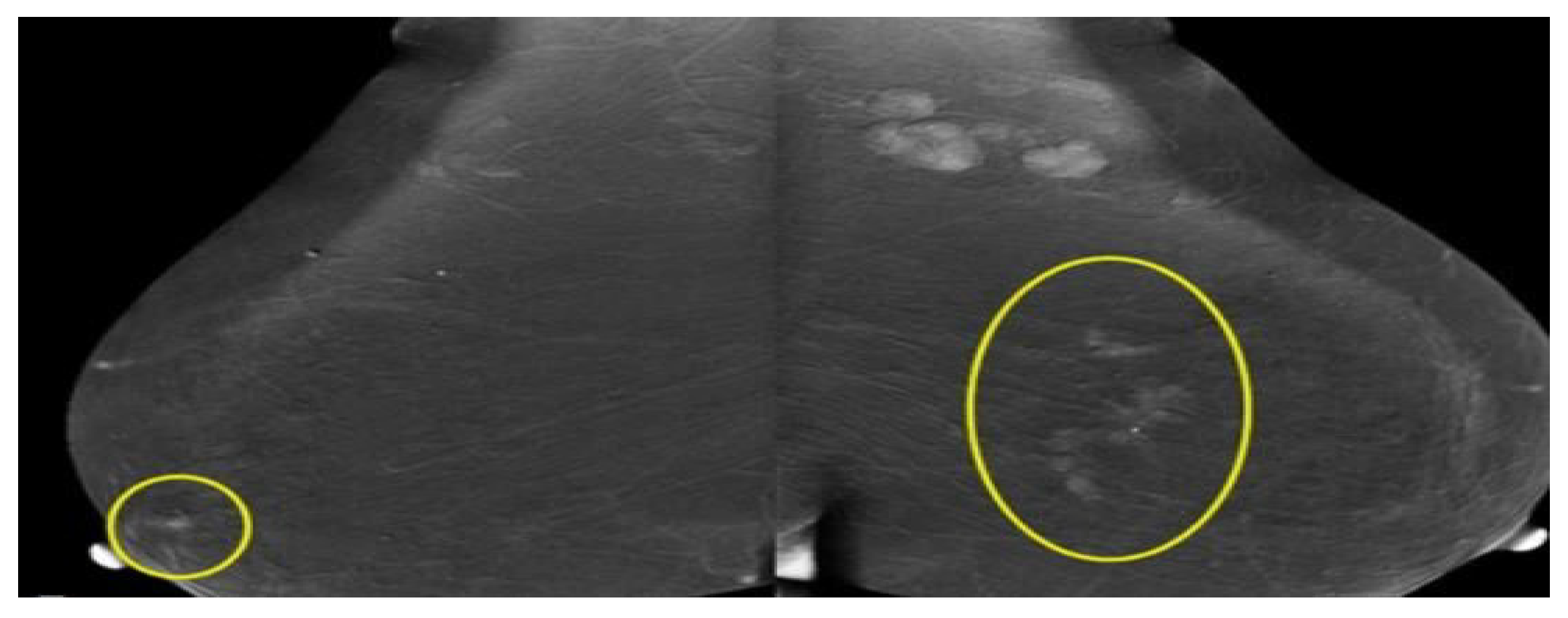 Applsci 11 10753 g005 Applsci 11 10753 g005