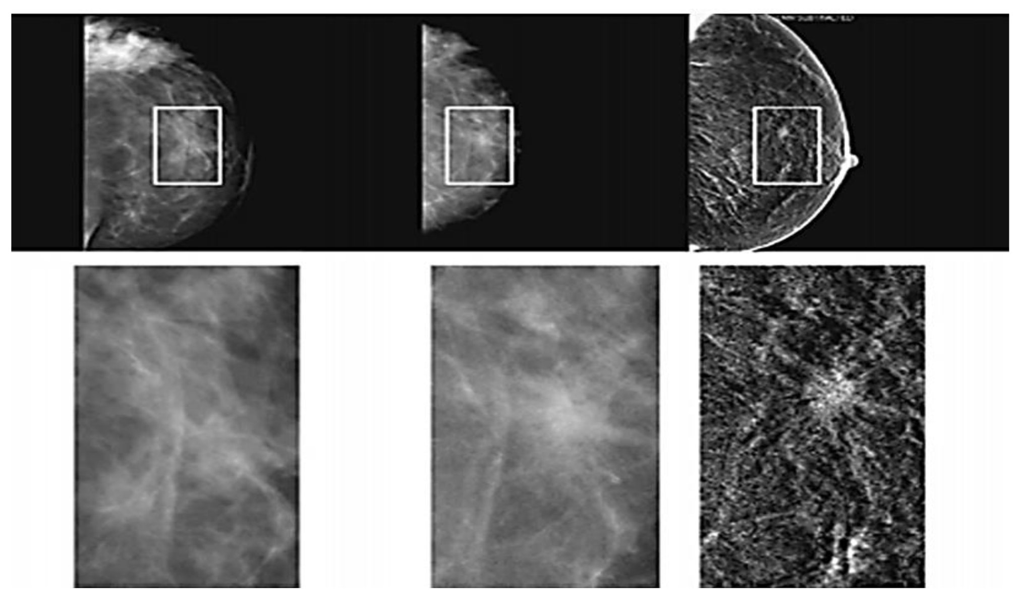 Applsci 11 10753 g006 Applsci 11 10753 g006