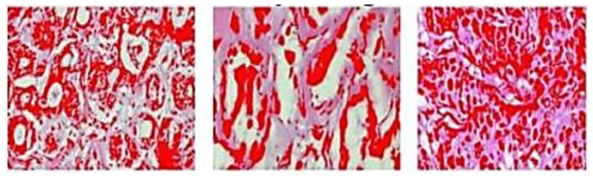 Applsci 11 10753 g013 Applsci 11 10753 g013