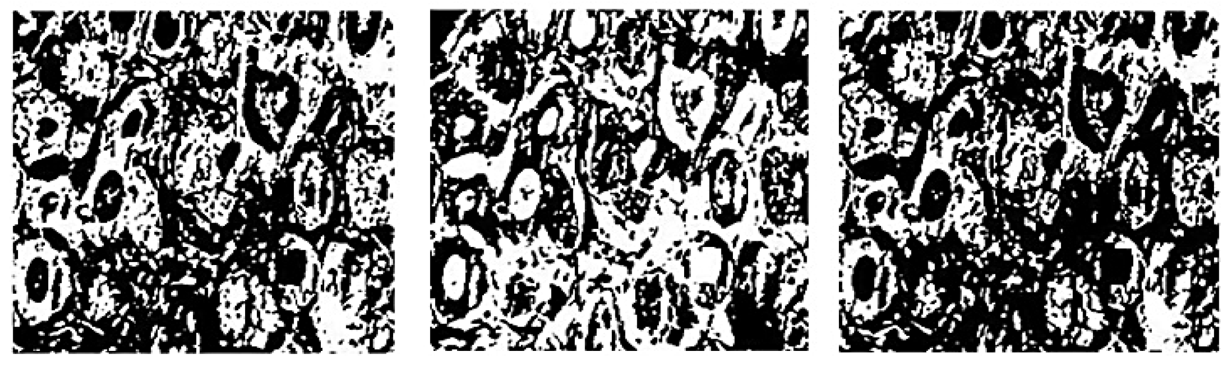 Applsci 11 10753 g014 Applsci 11 10753 g014