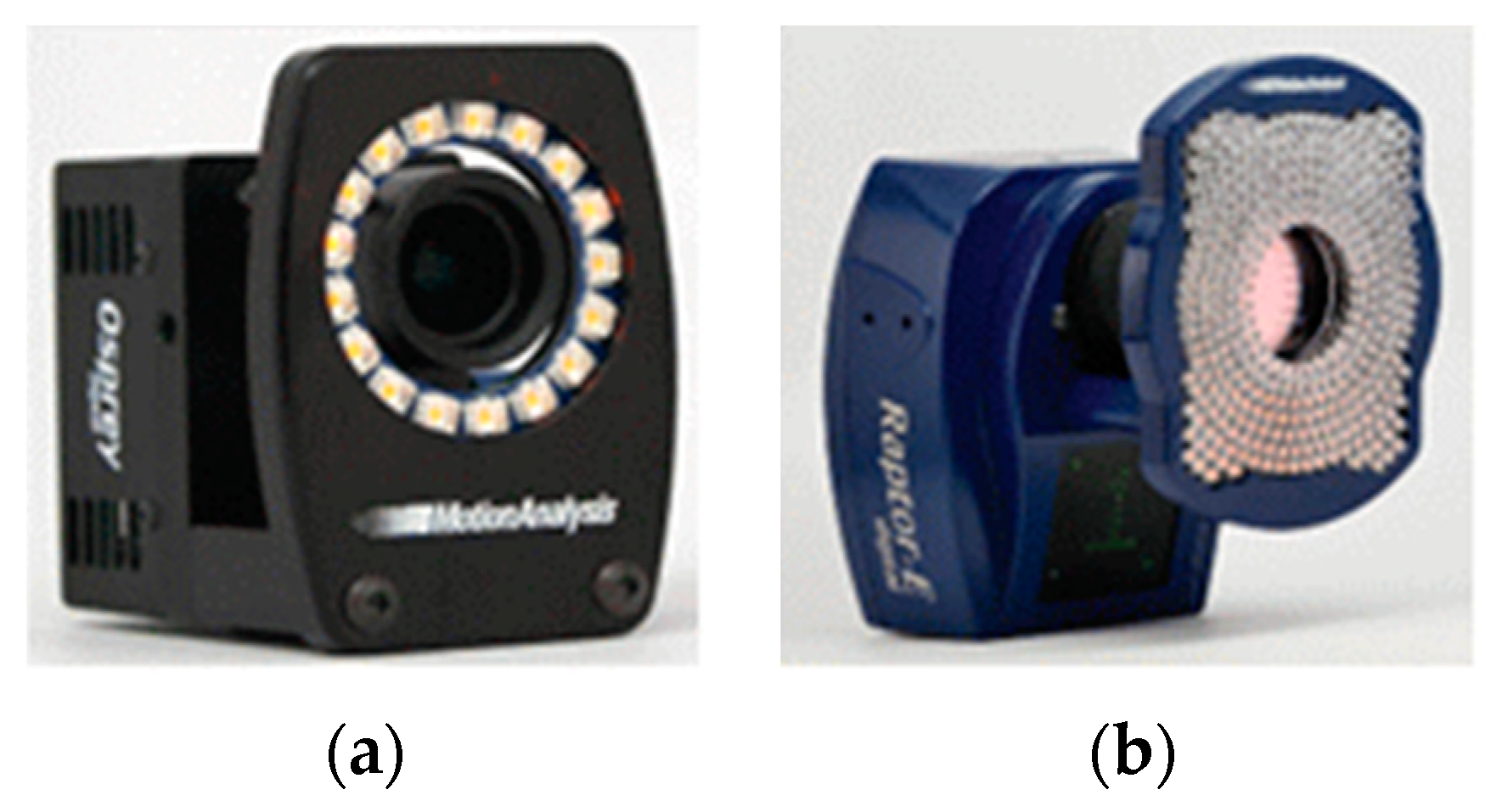 Applsci 11 10762 g001 Applsci 11 10762 g001