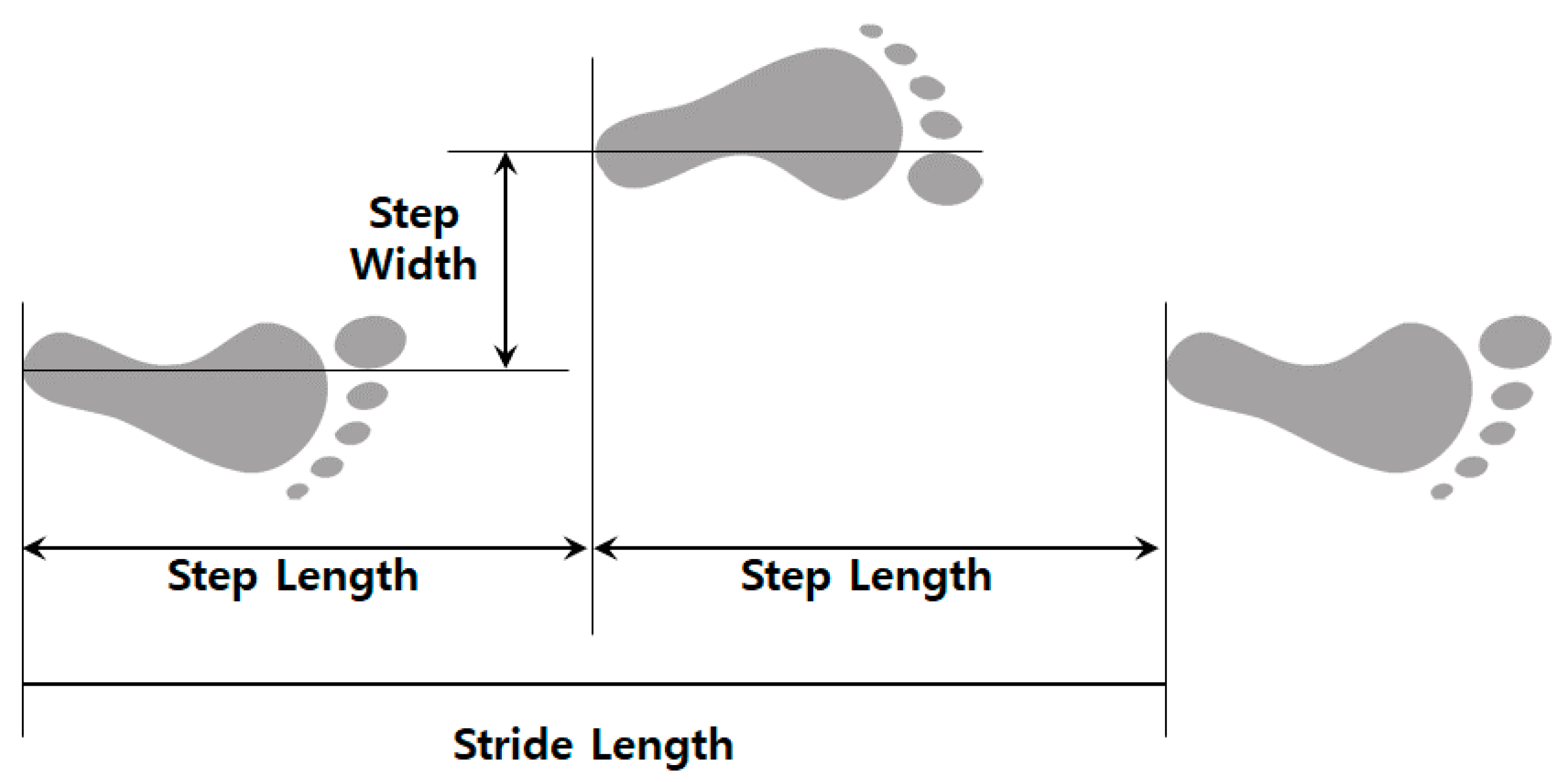 Applsci 11 10762 g003 Applsci 11 10762 g003