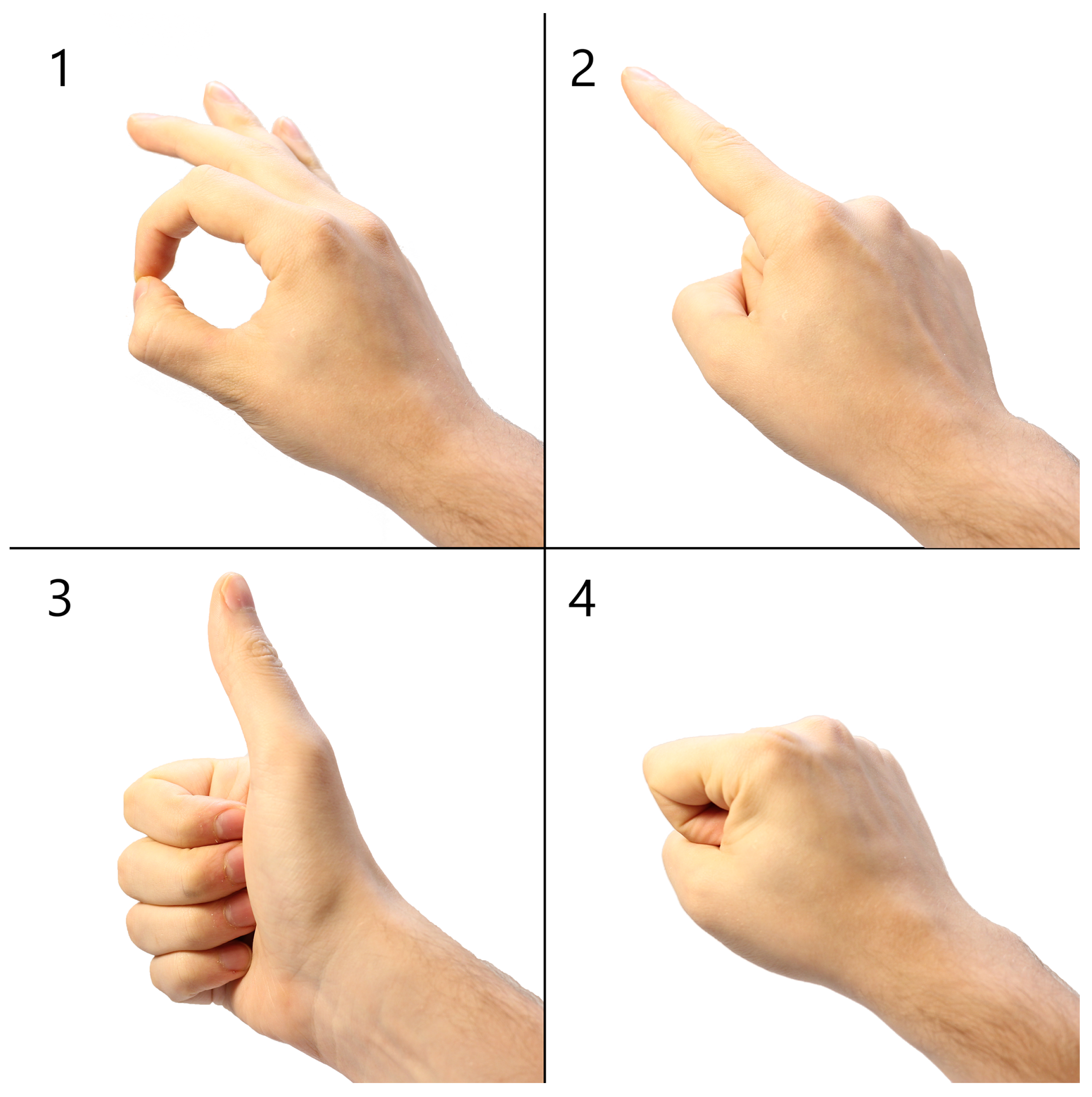 Applsci 11 10767 g002