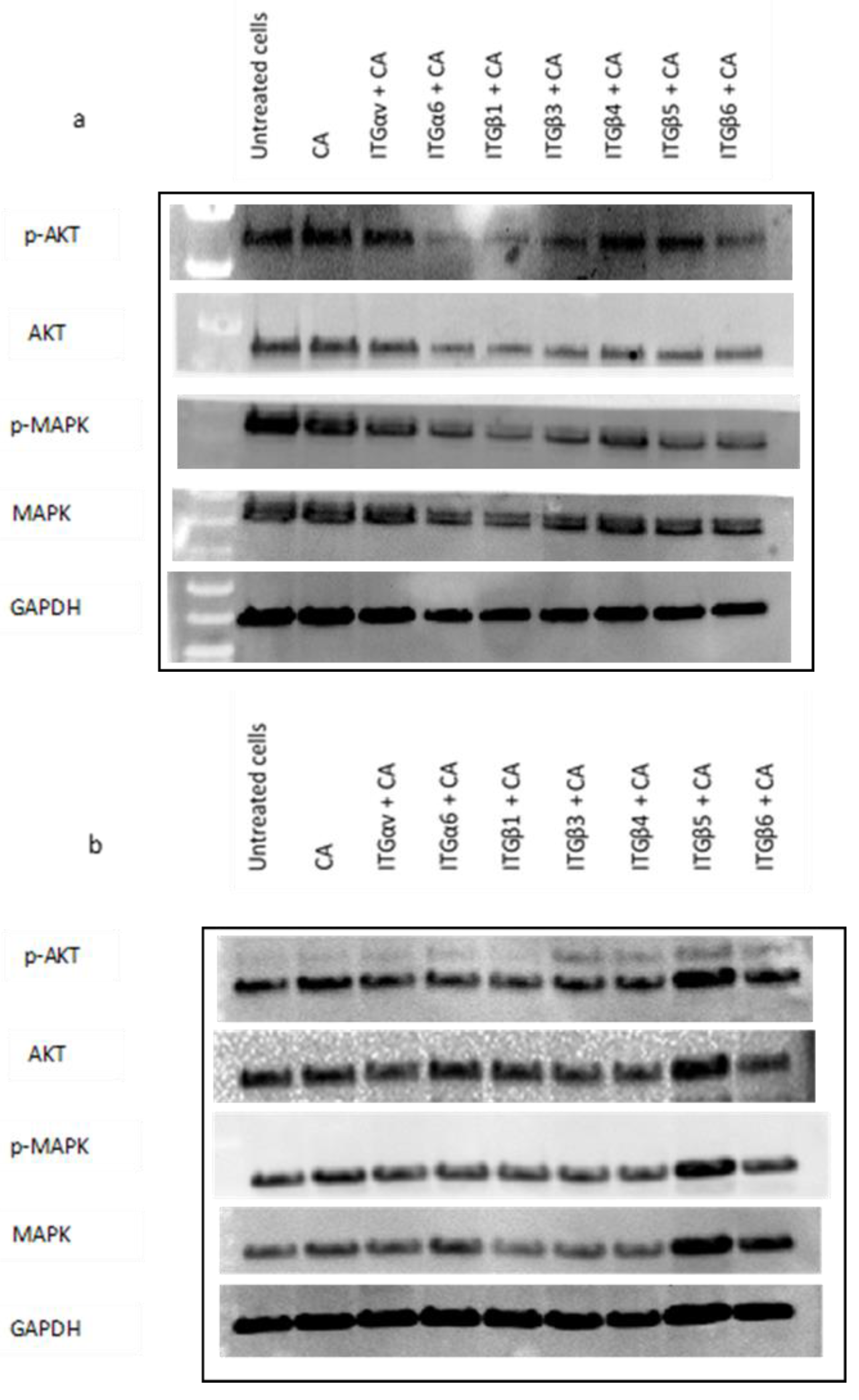 Applsci 11 10782 g008a