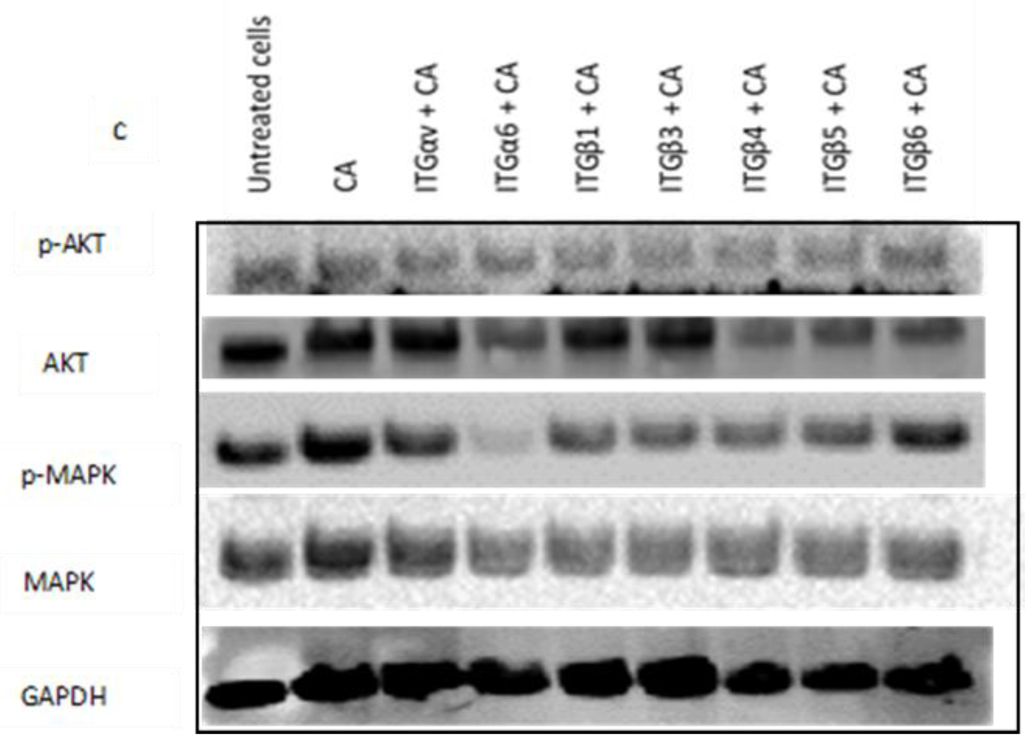 Applsci 11 10782 g008b