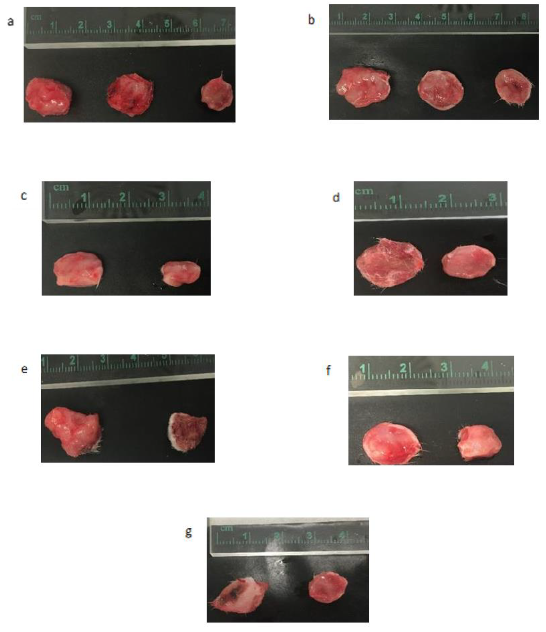 Applsci 11 10782 g012