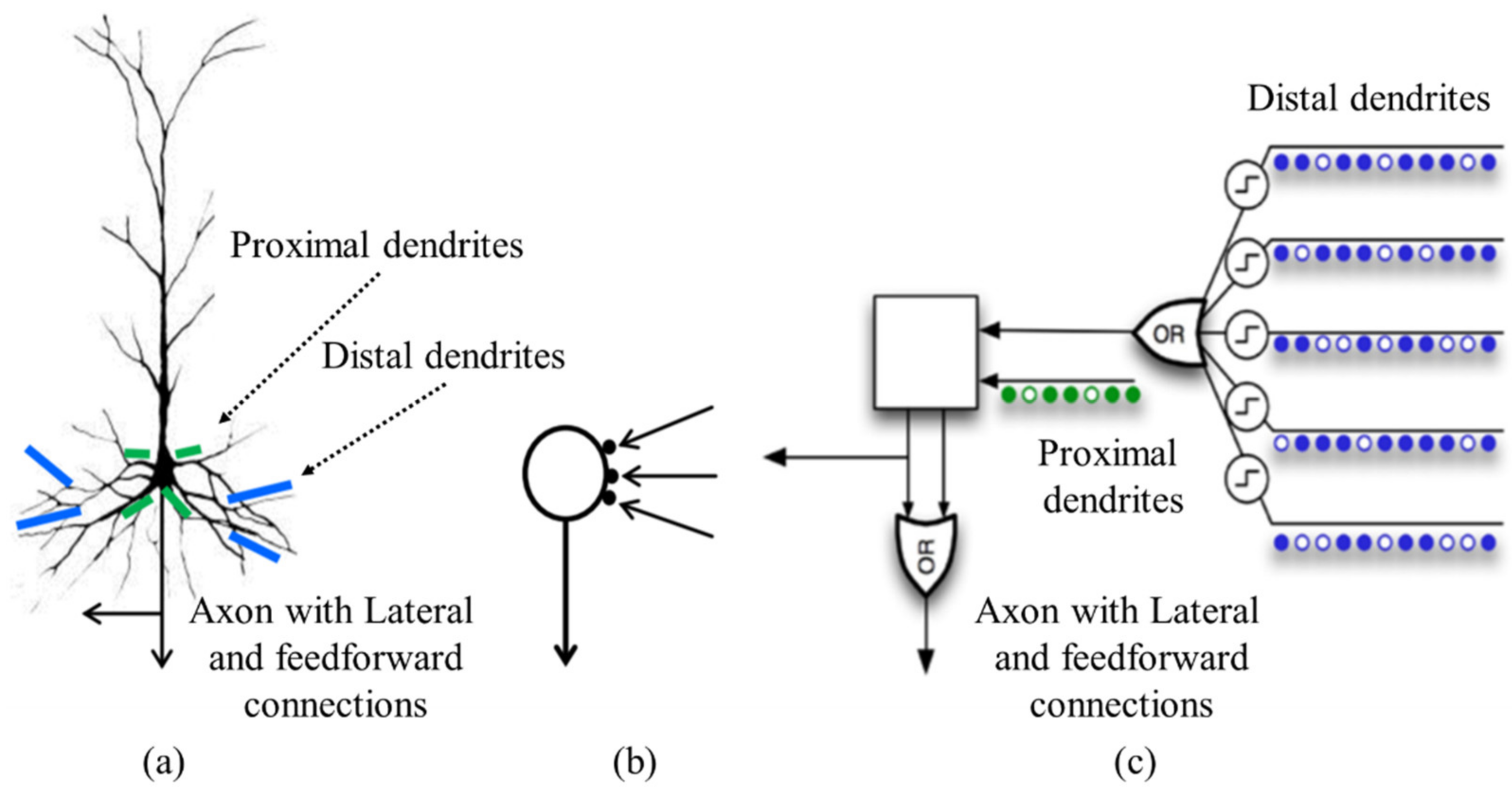 Applsci 11 10786 g003