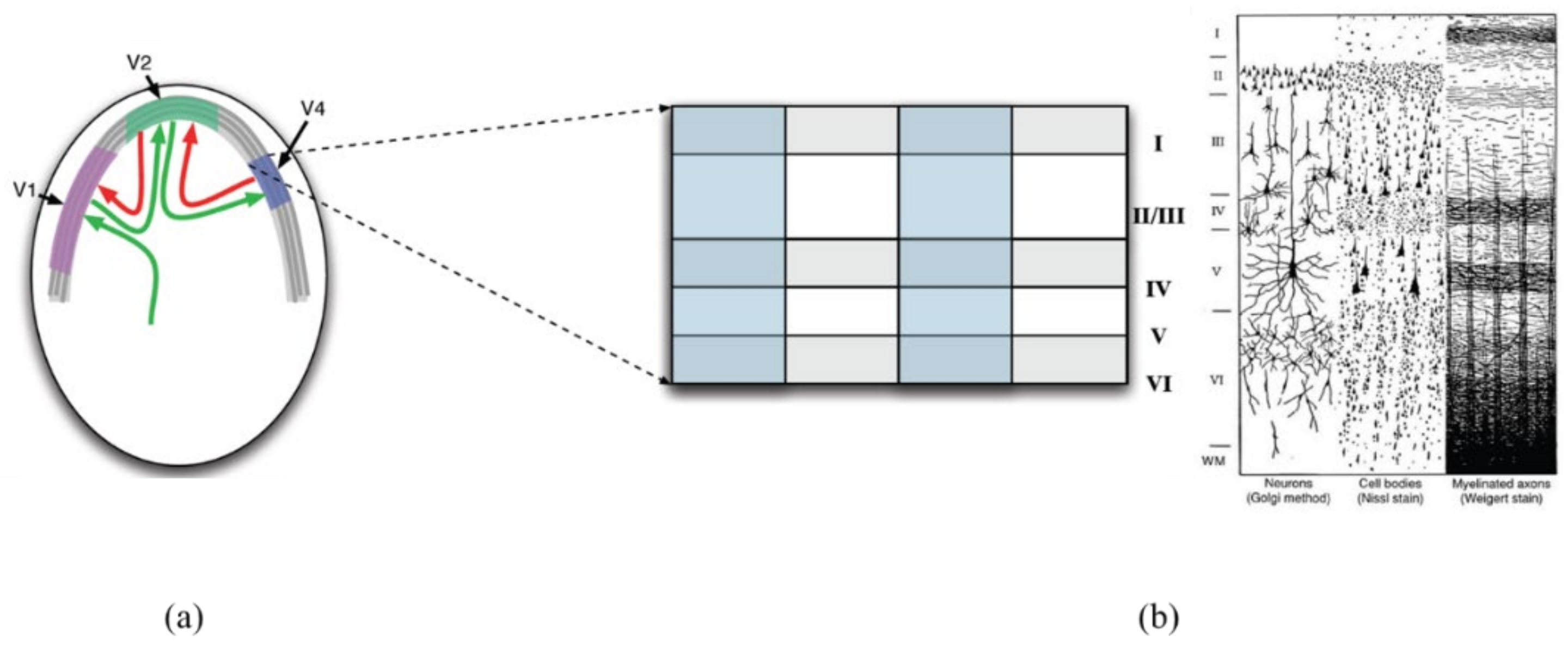 Applsci 11 10786 g005