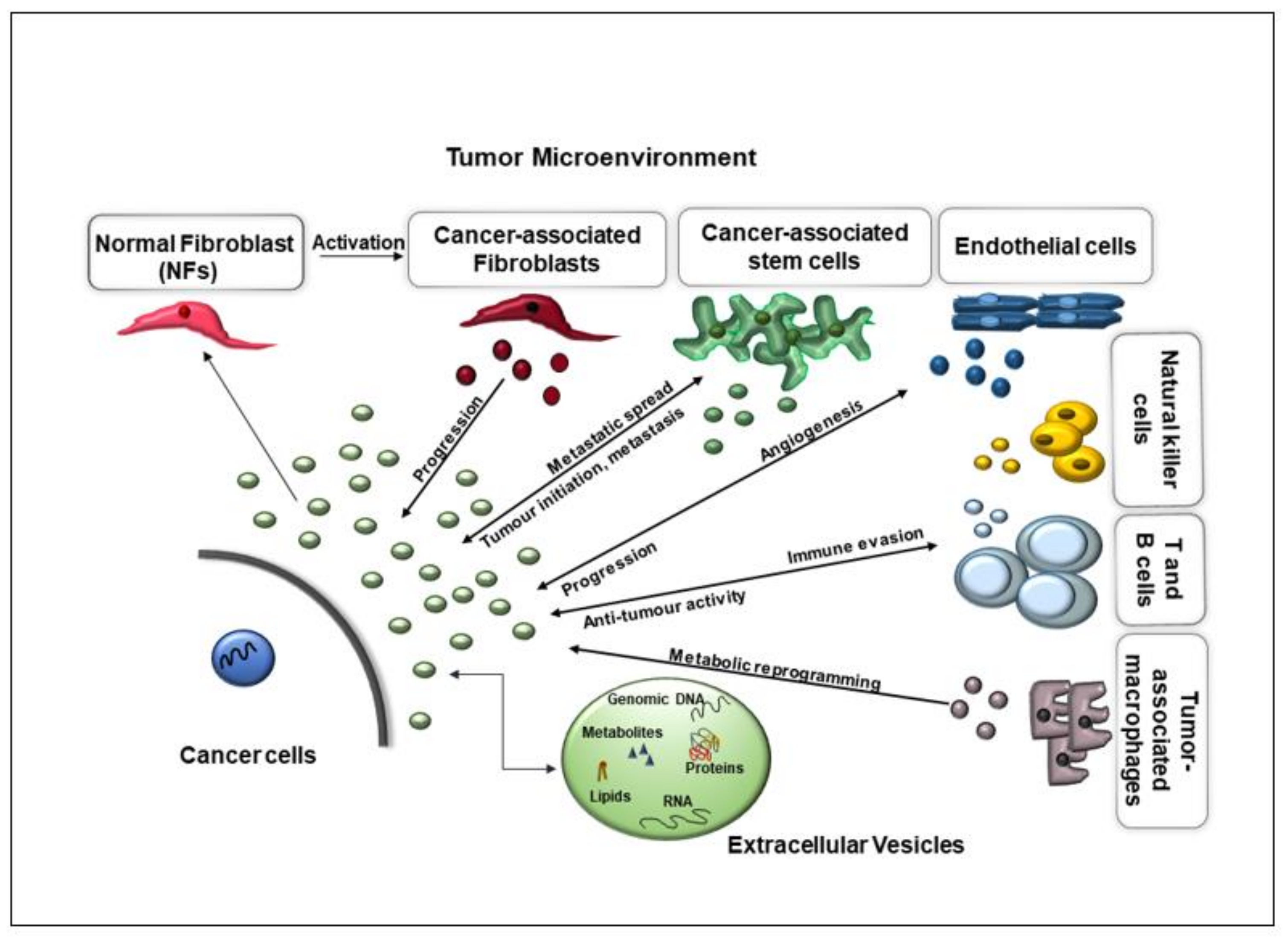 Applsci 11 10787 g001