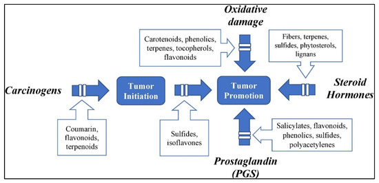 Applsci 11 10806 g001 550