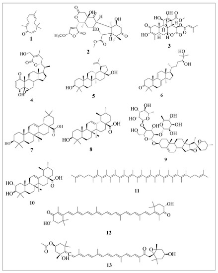 Applsci 11 10806 g002 550