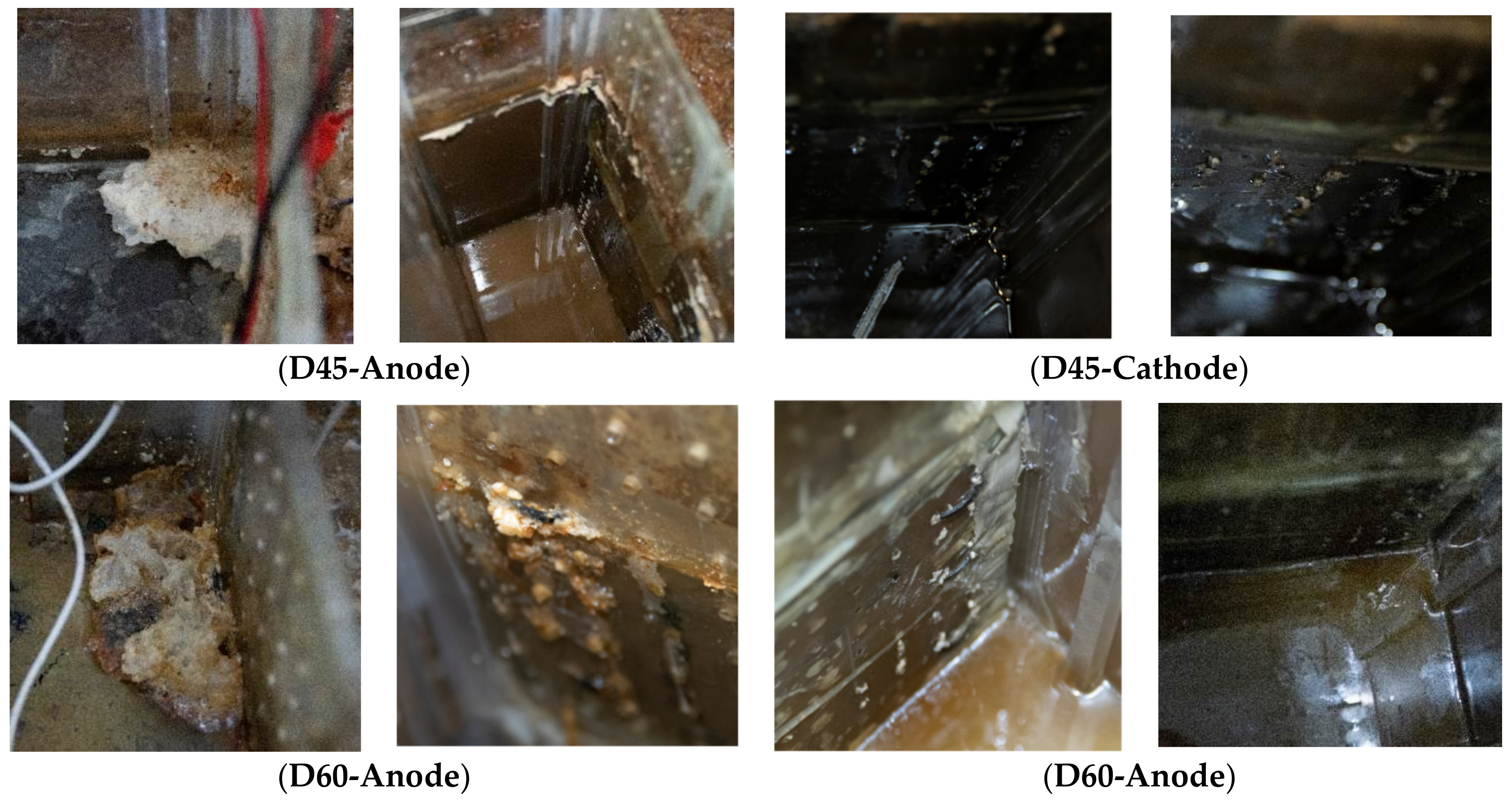 Applsci 11 10817 g008