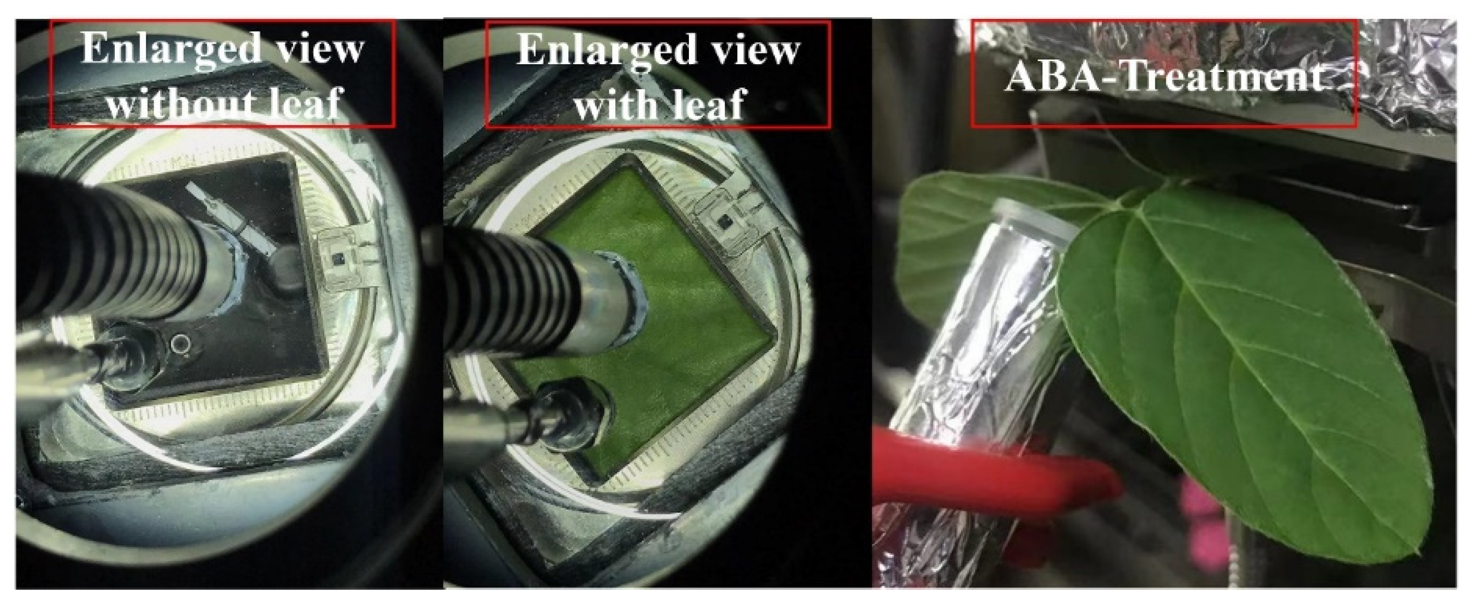 Applsci 11 10821 g002