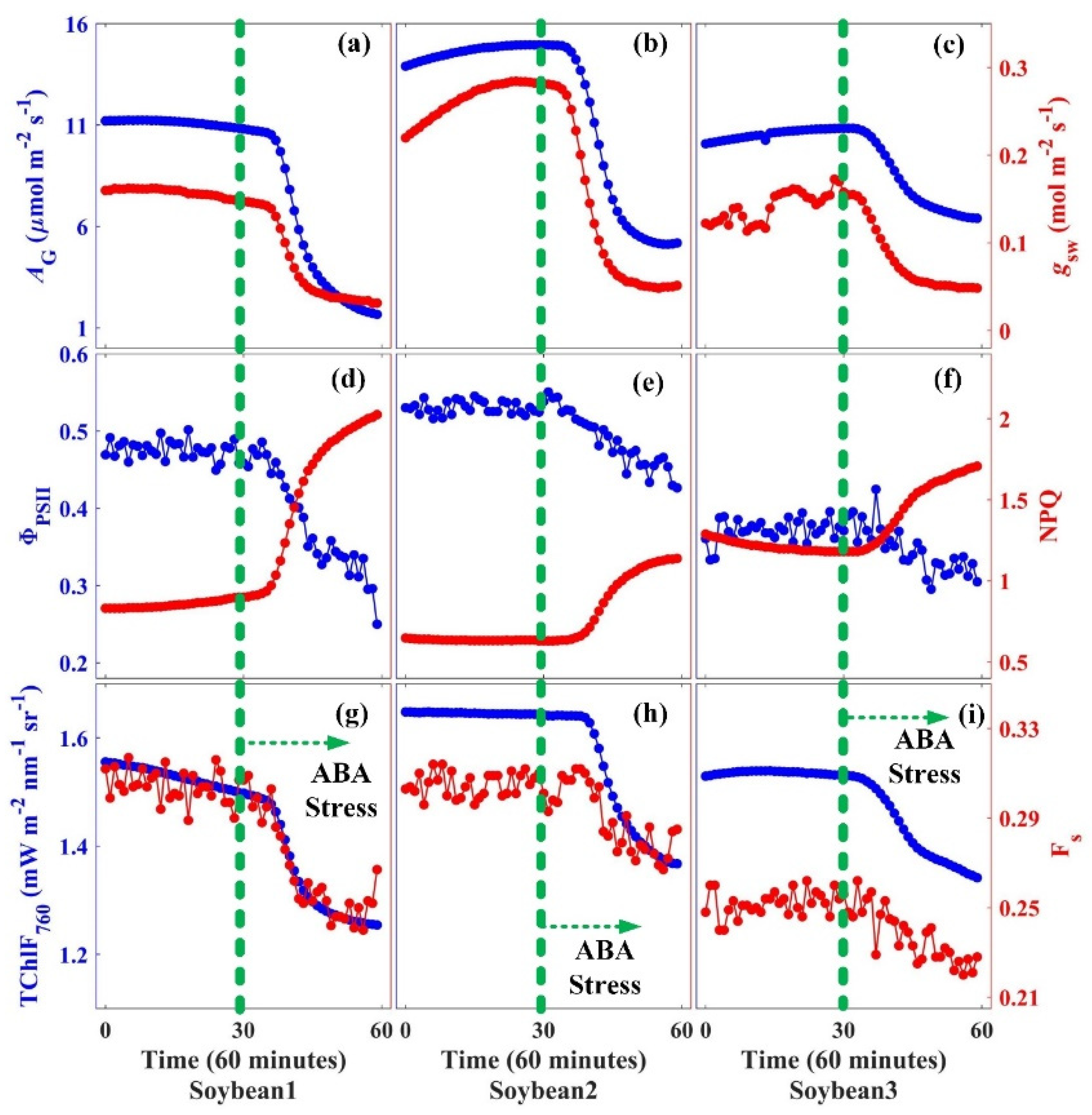 Applsci 11 10821 g005