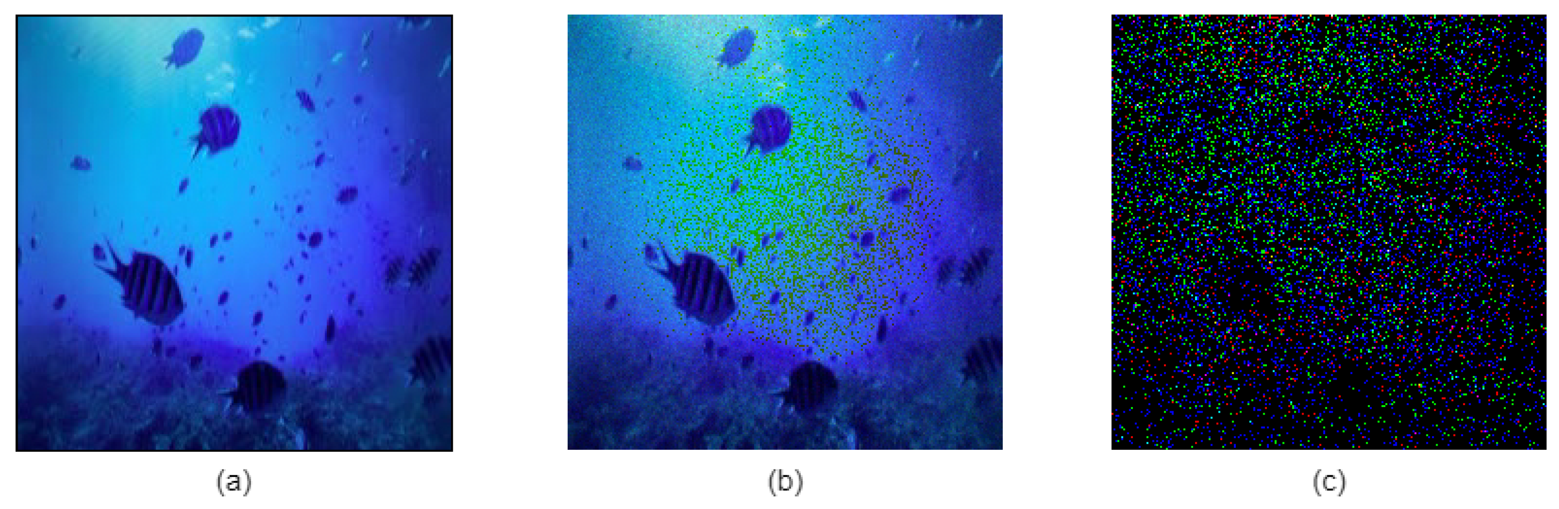 Applsci 11 10861 g004