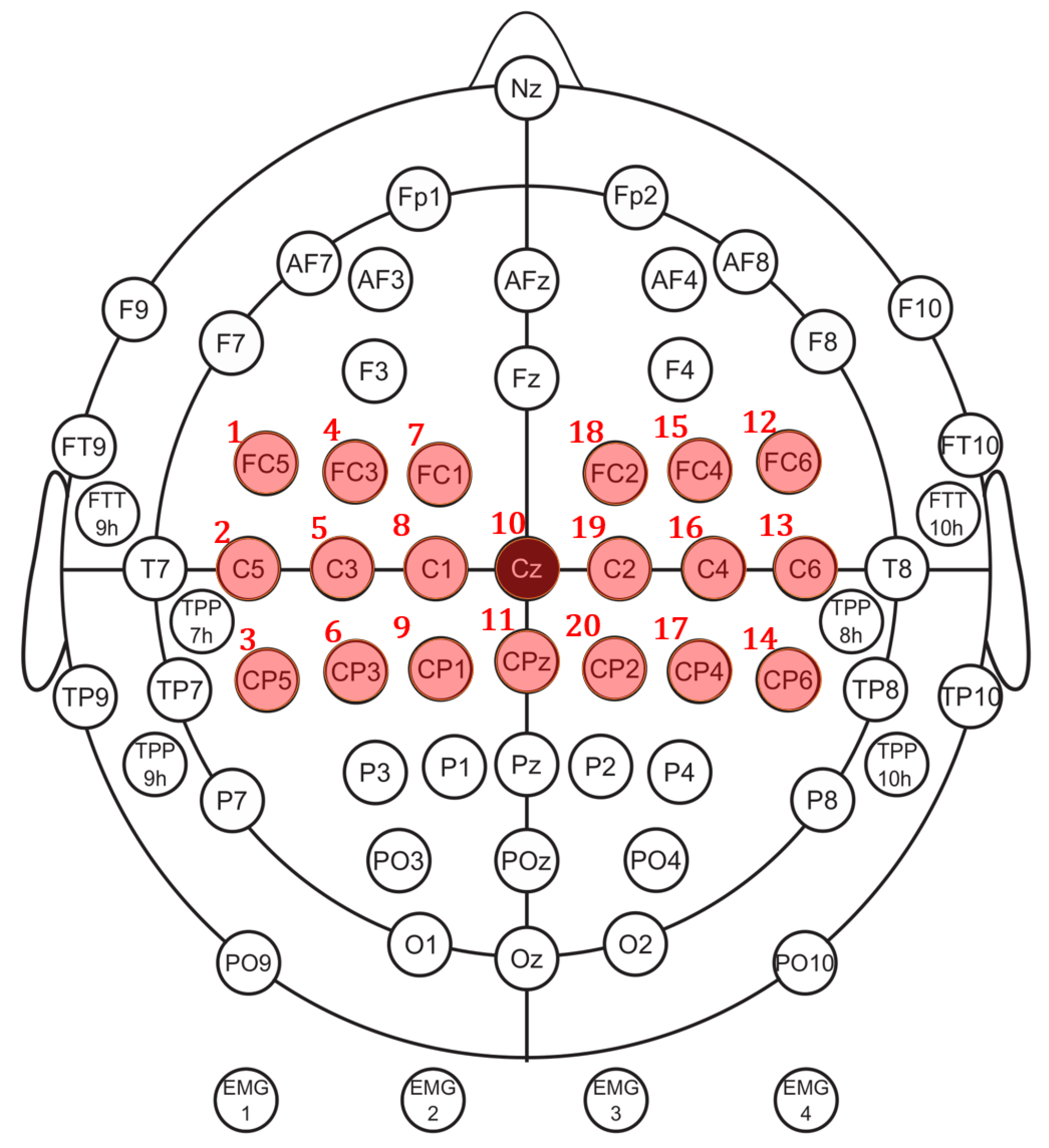 Applsci 11 10906 g002