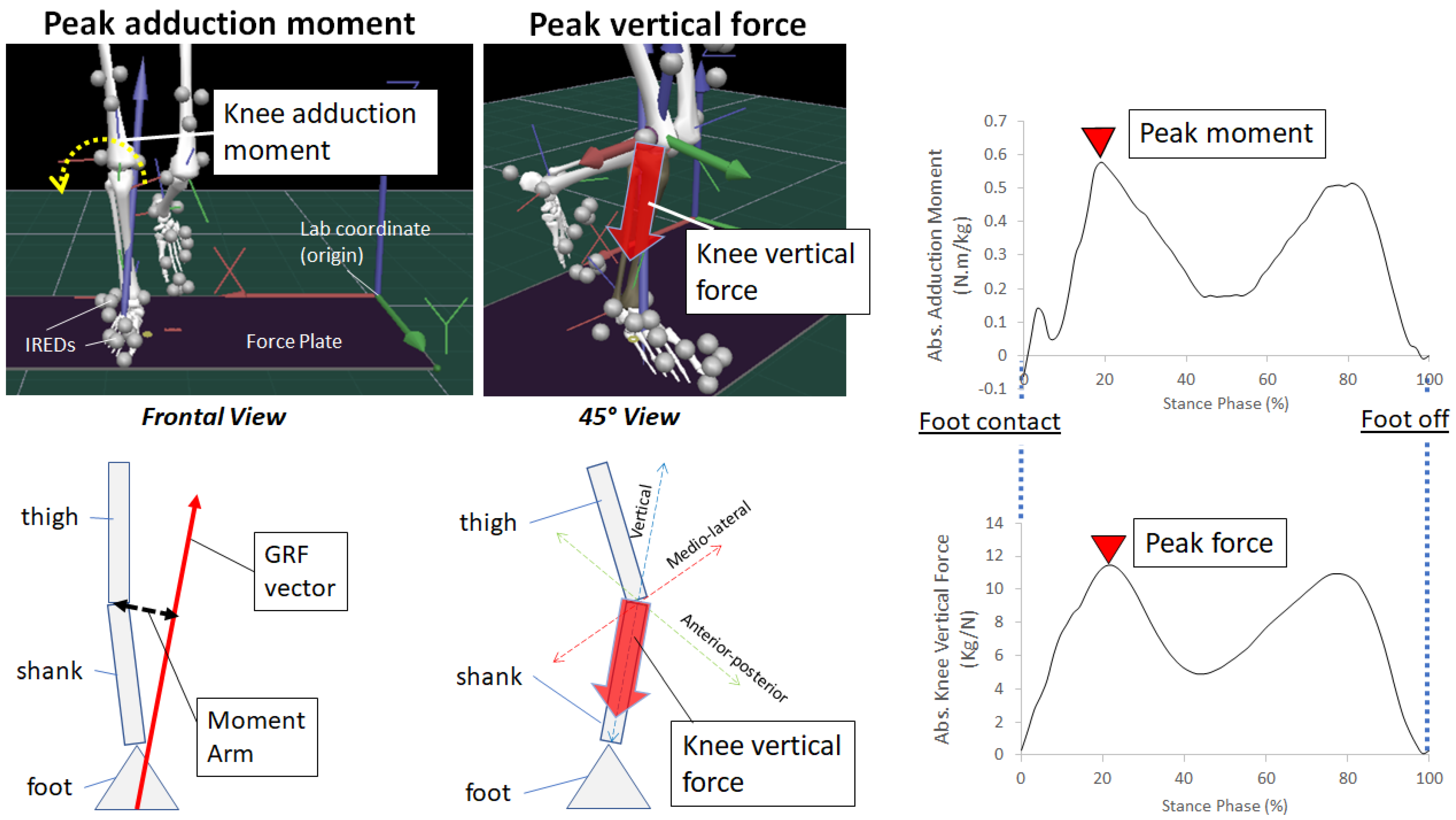 Applsci 11 10947 g001