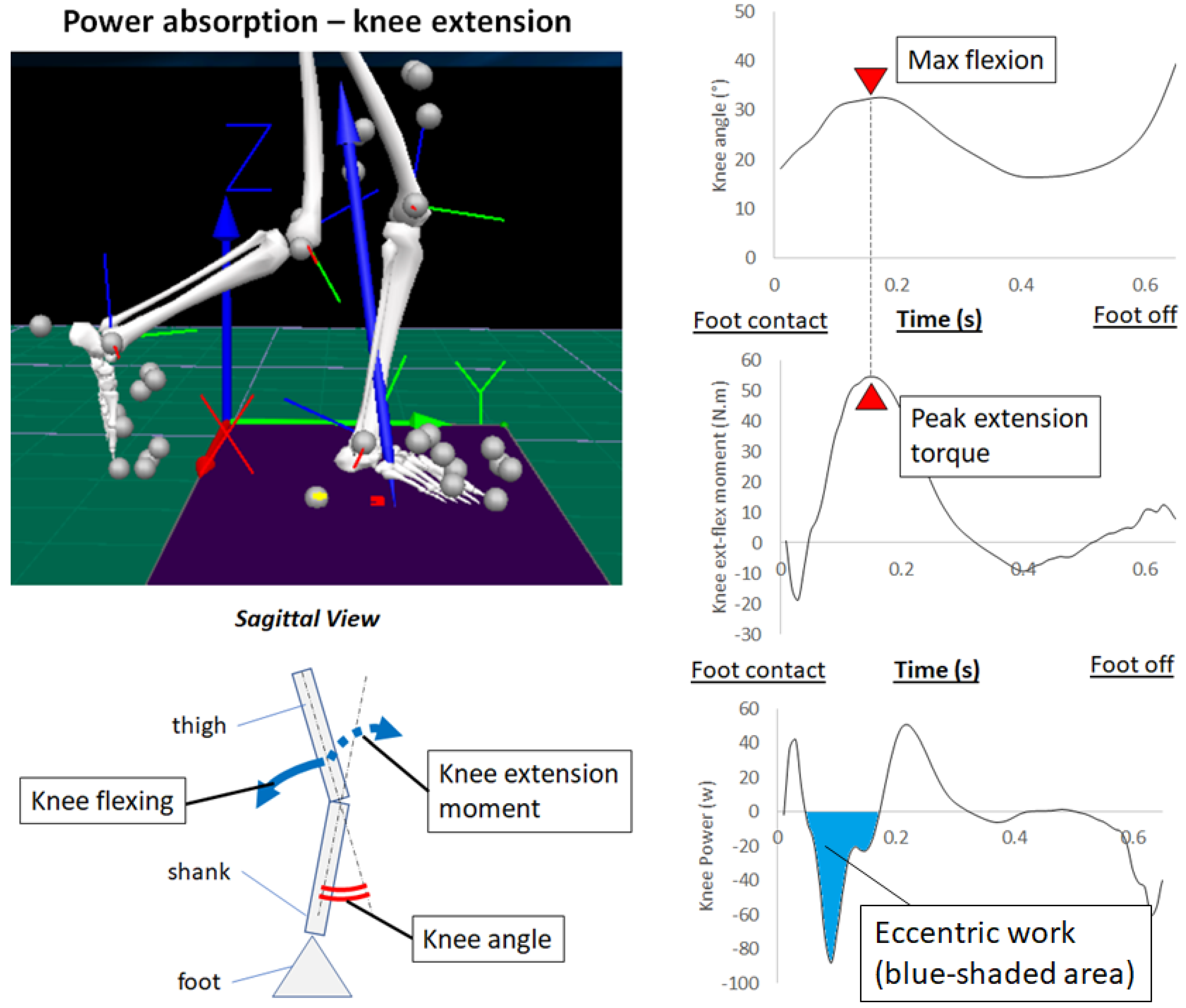 Applsci 11 10947 g002
