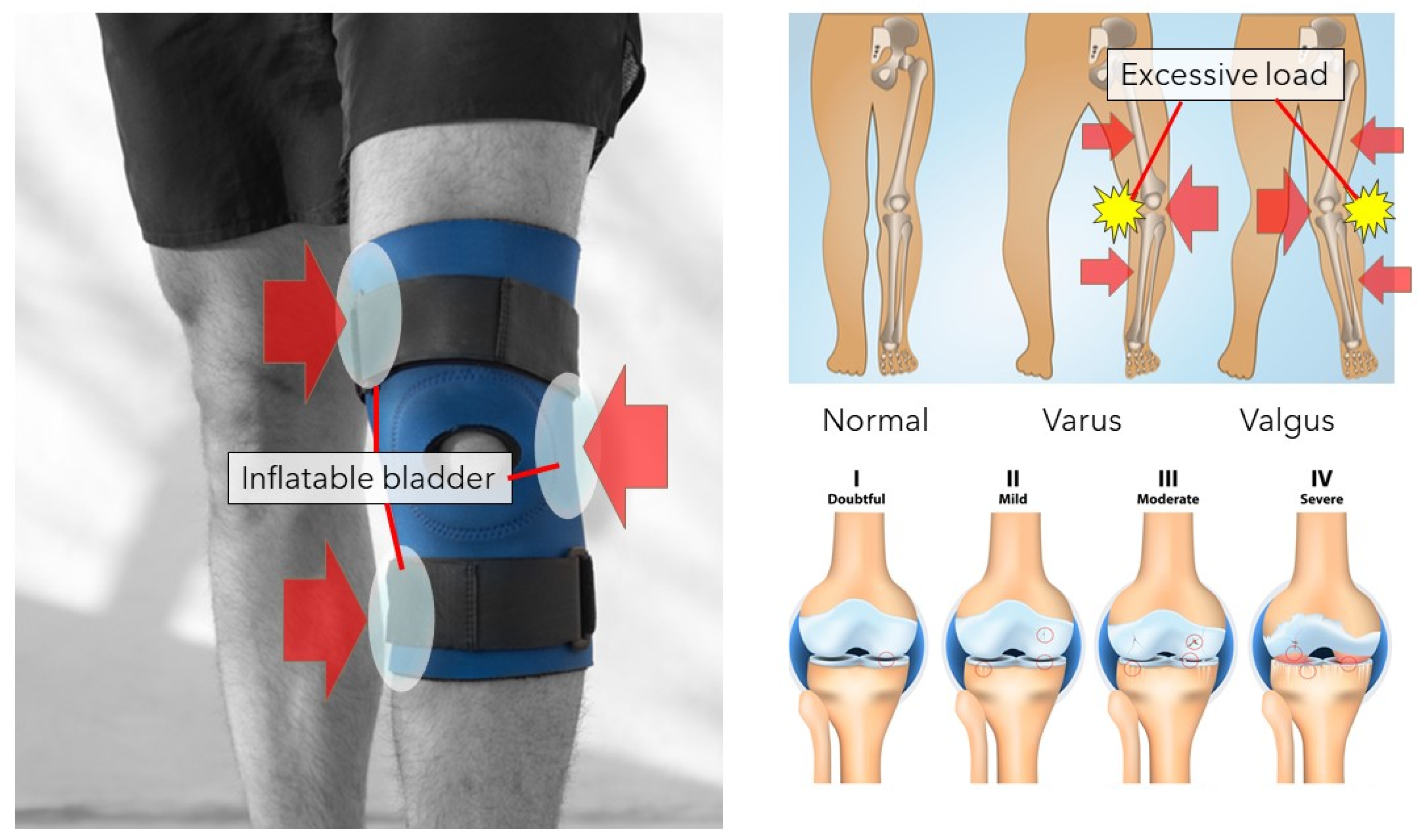 Applsci 11 10947 g003