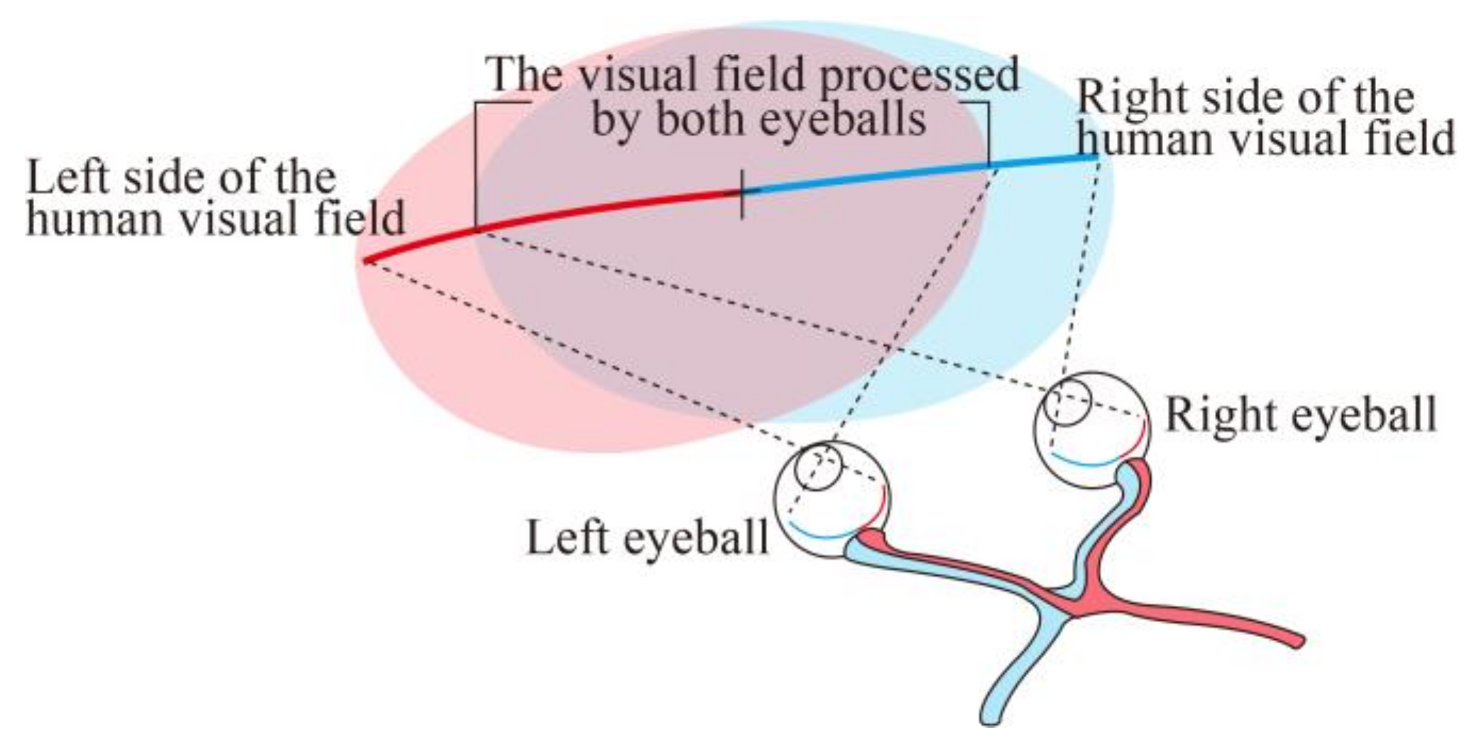 Applsci 11 10972 g001