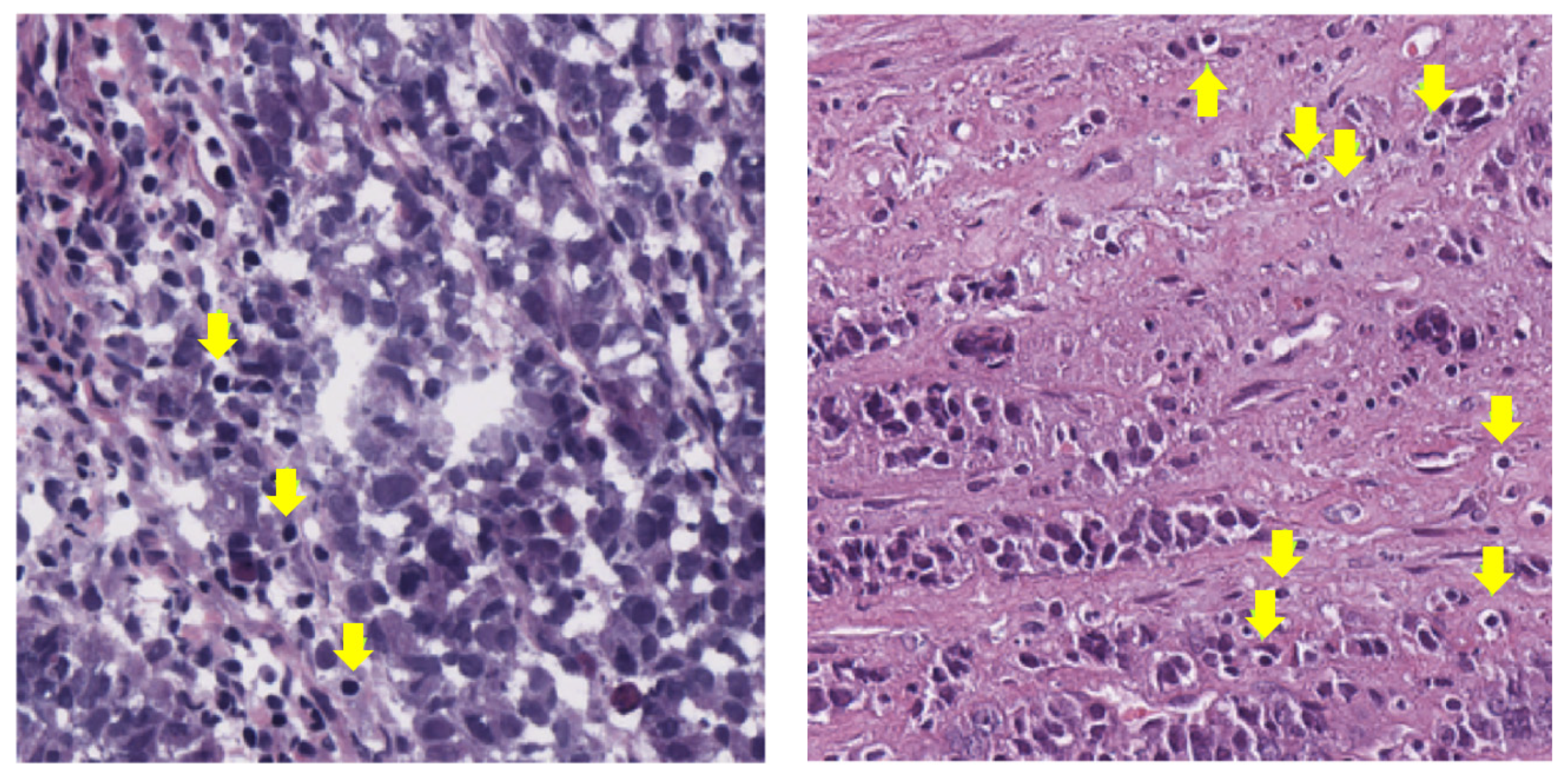 Applsci 11 10982 g004