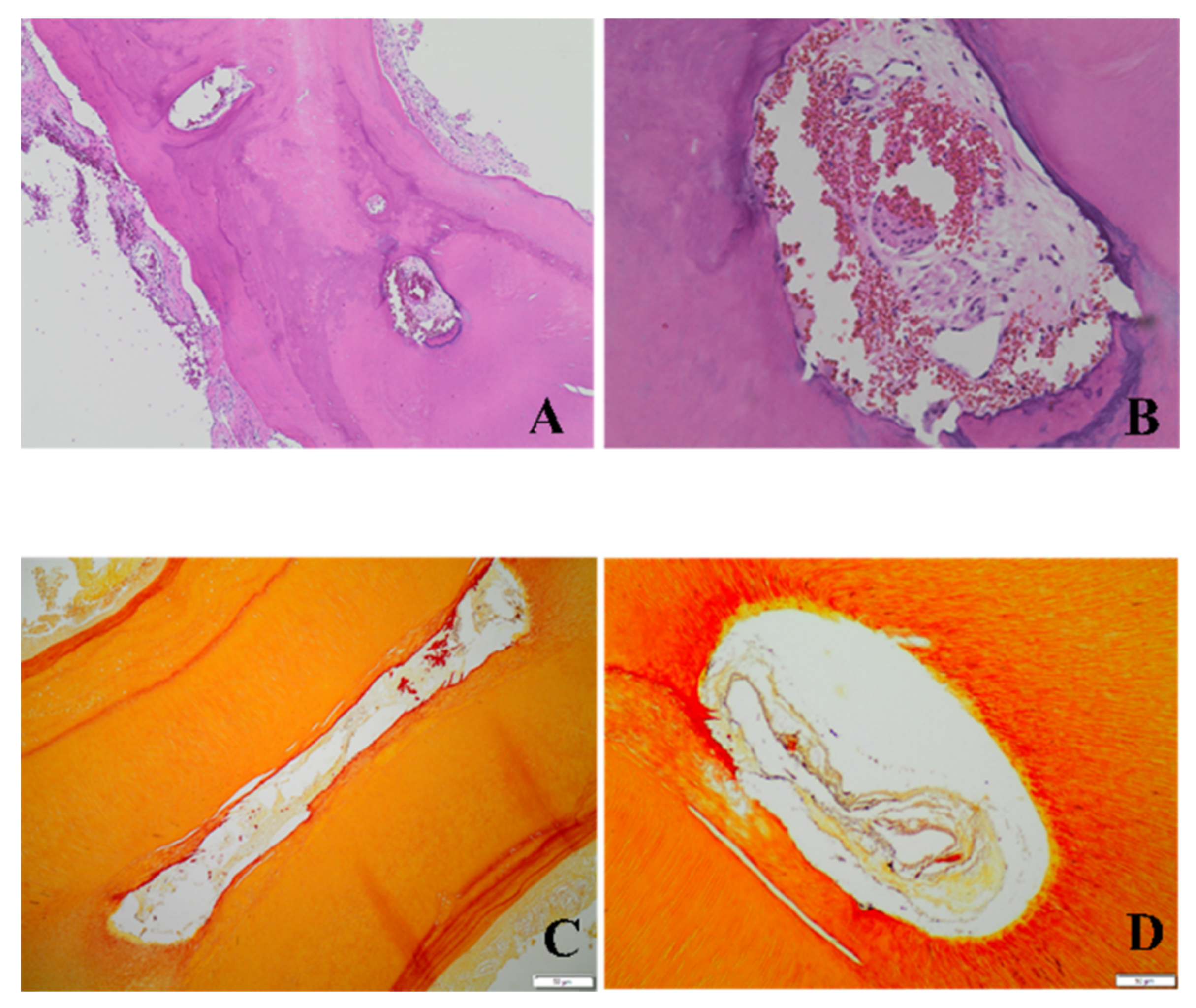 Applsci 11 11002 g002