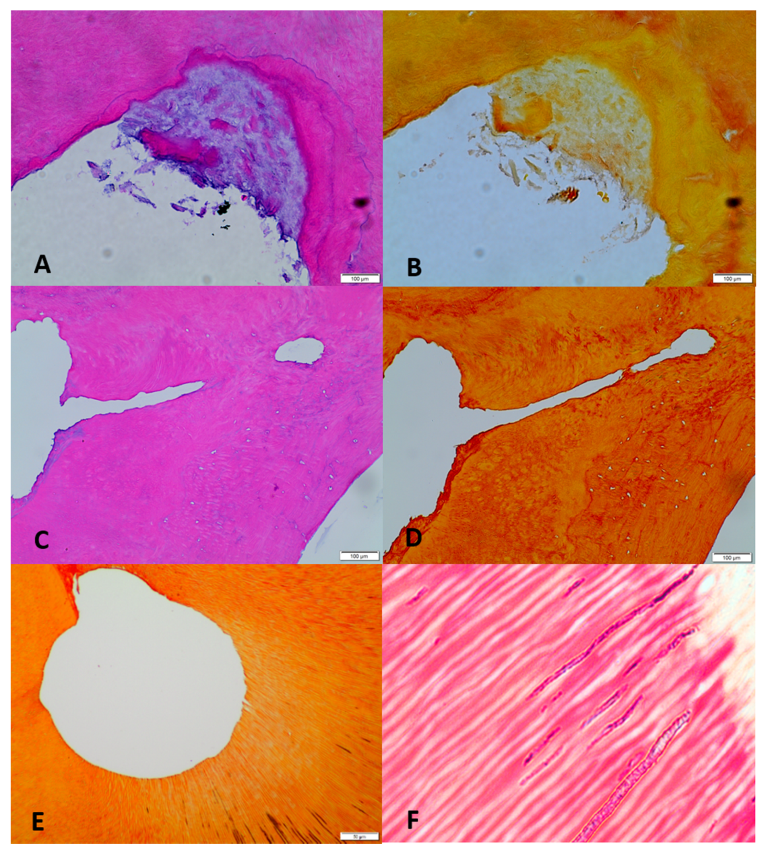 Applsci 11 11002 g004