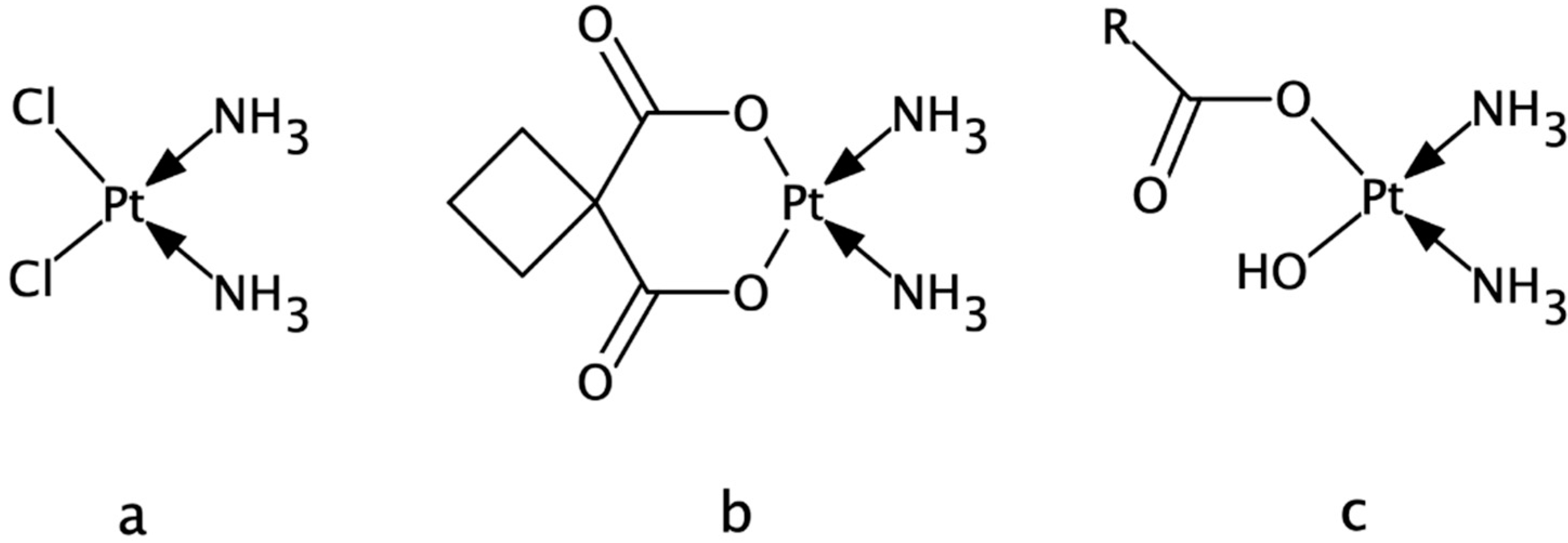 Applsci 11 11008 g001
