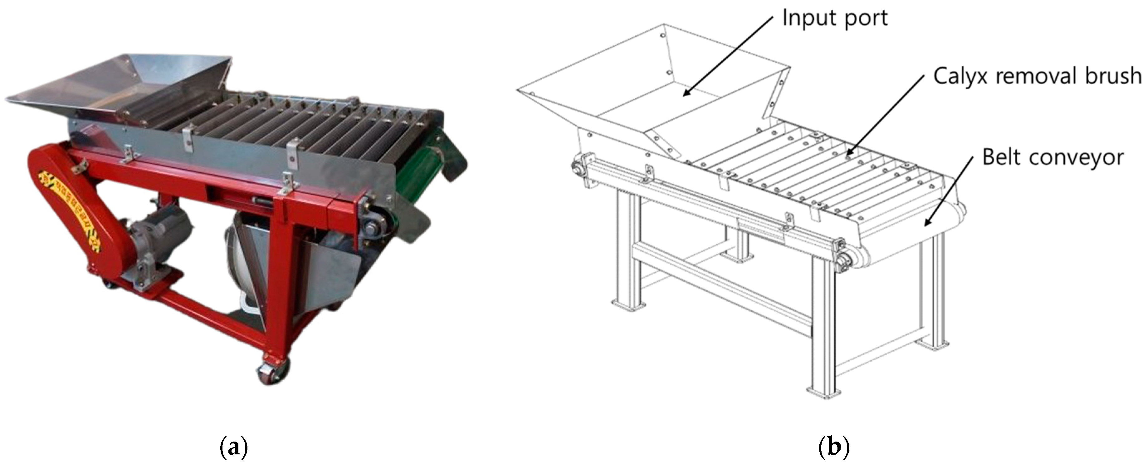 Applsci 11 11016 g001