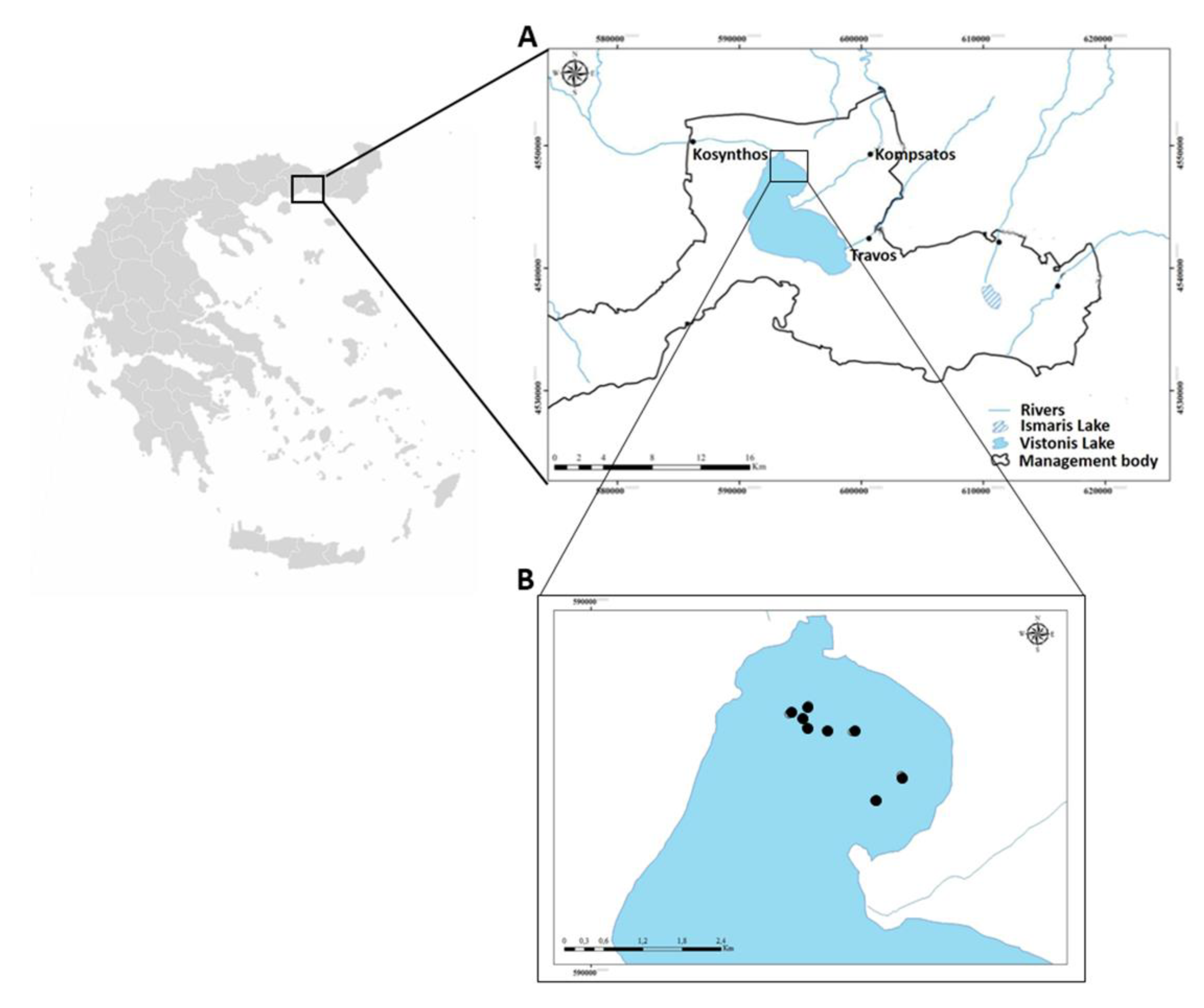 Applsci 11 11021 g001