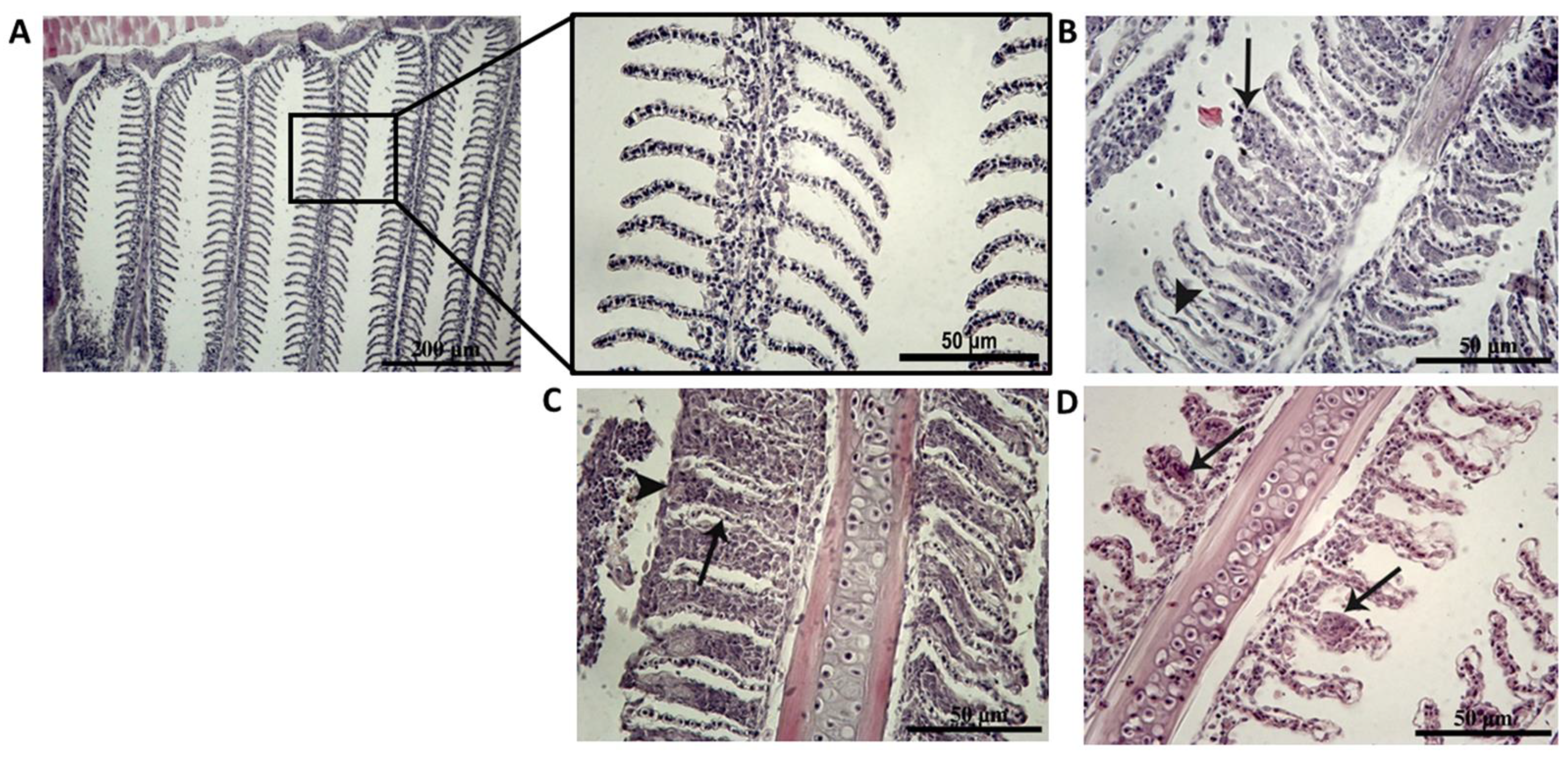 Applsci 11 11021 g003
