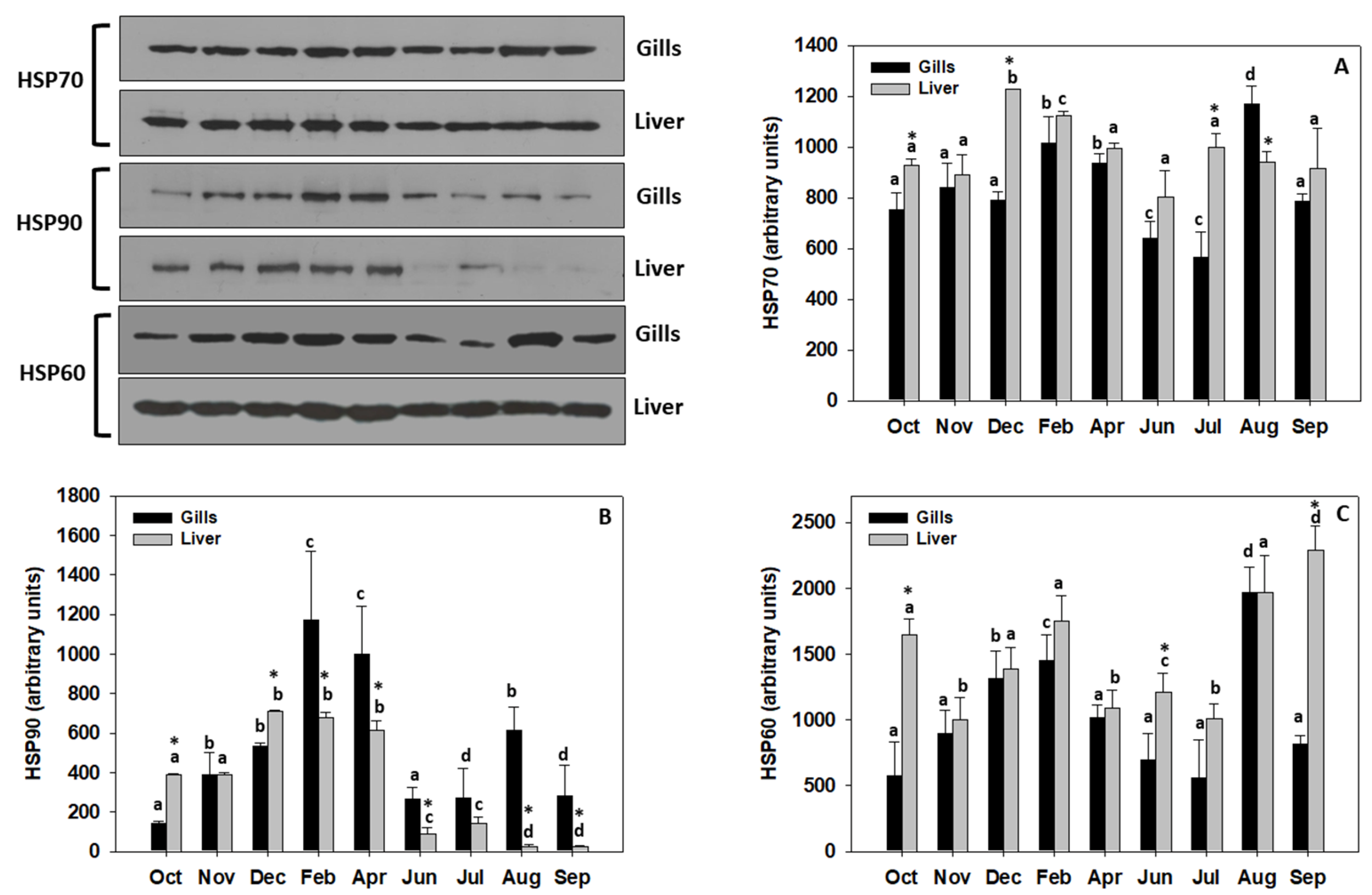 Applsci 11 11021 g004