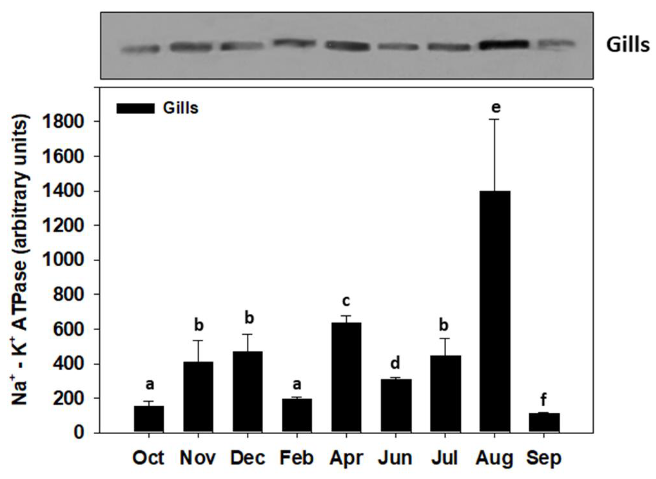 Applsci 11 11021 g005