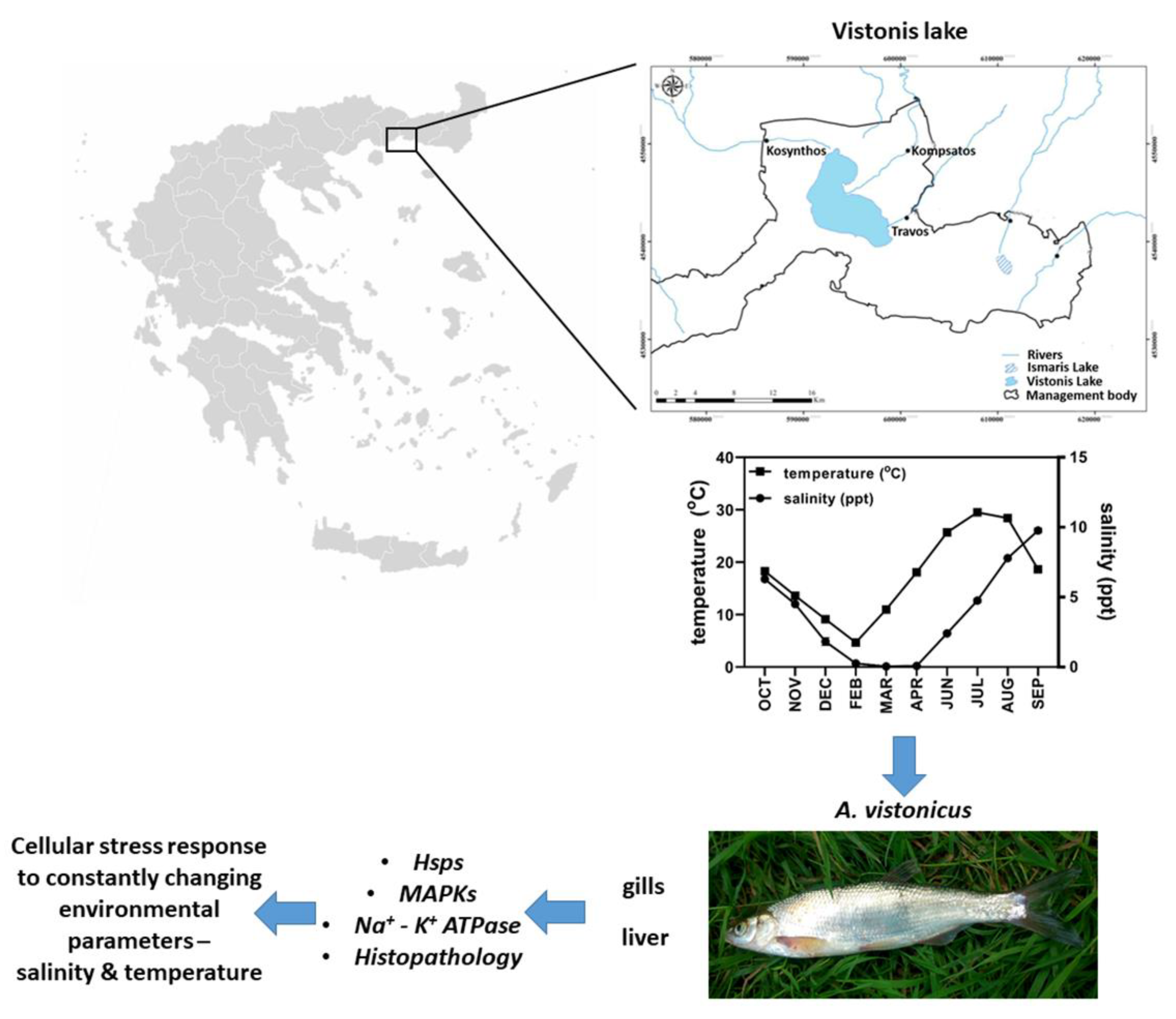Applsci 11 11021 g008