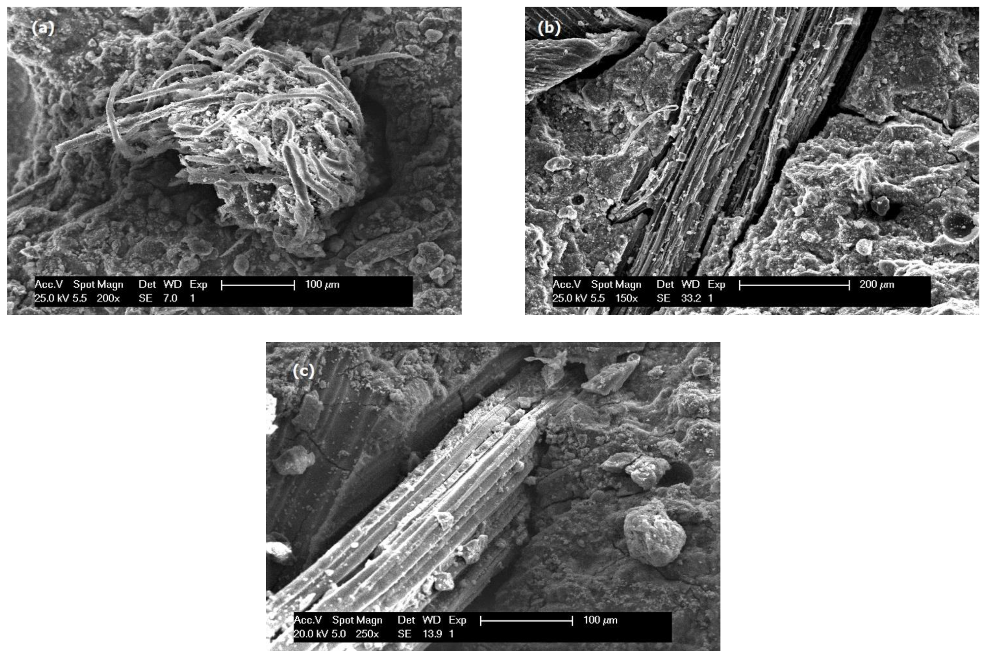 Applsci 11 11026 g006