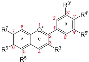 Applsci 11 11031 i003