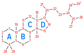 Applsci 11 11031 i009