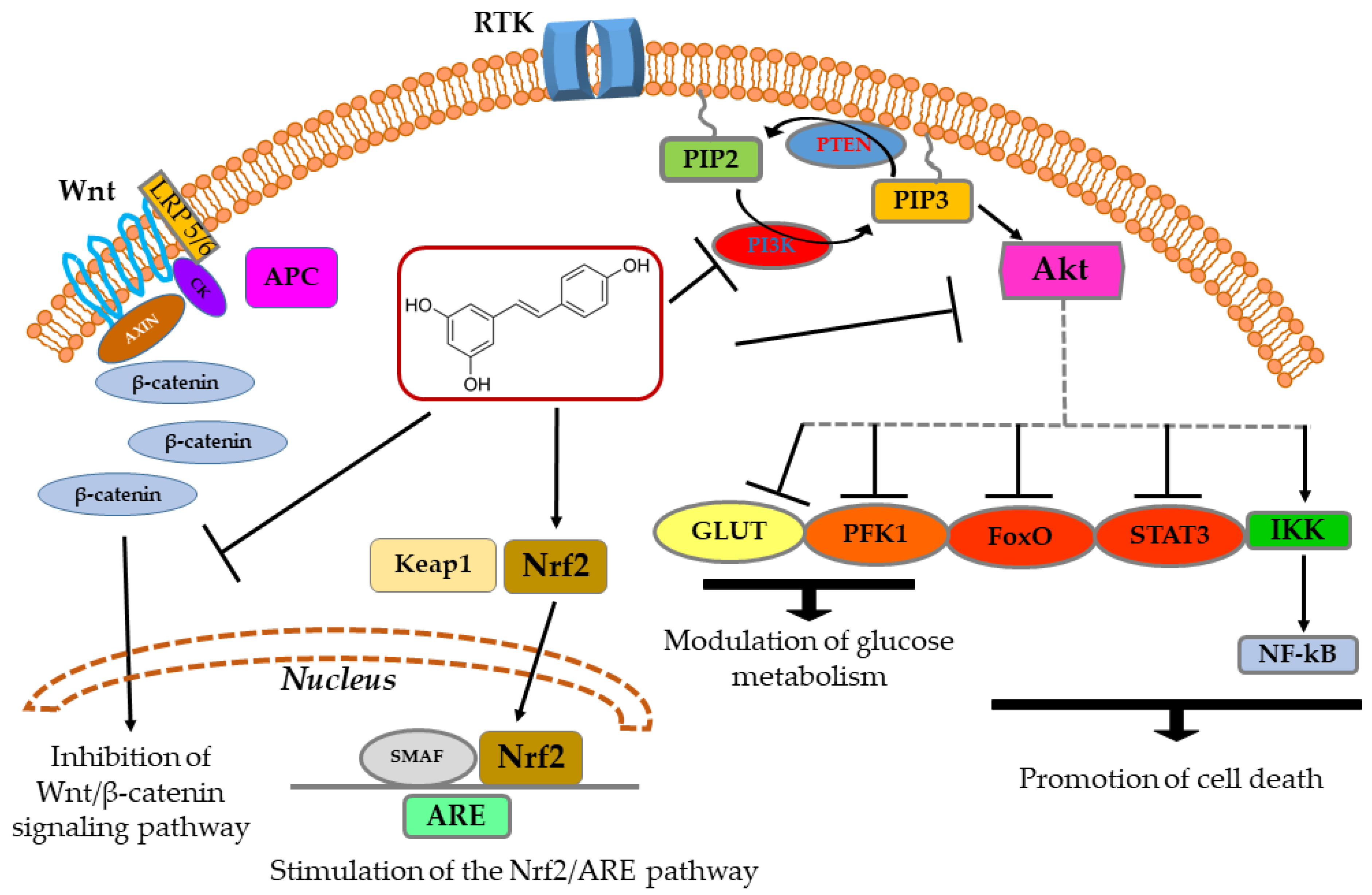 Applsci 11 11041 g001