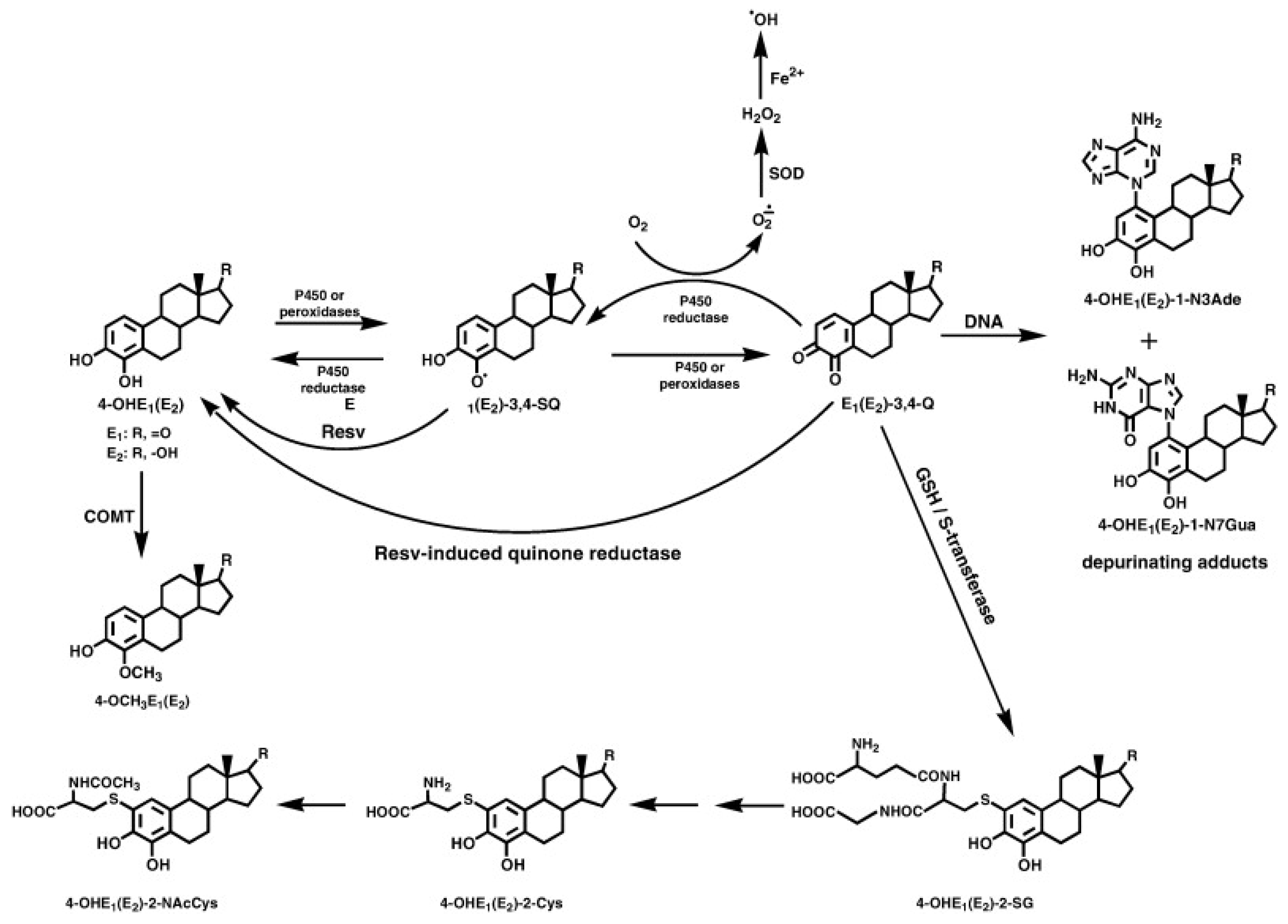 Applsci 11 11041 g003